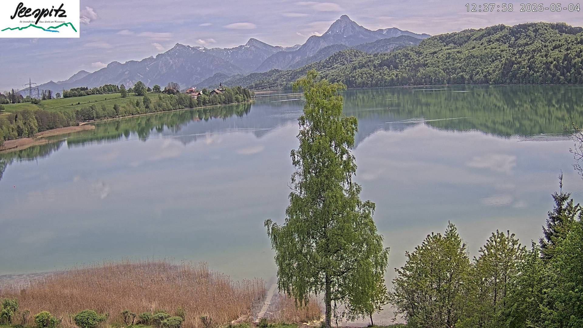 Archiv Foto Webcam Füssen: Blick auf den Weißensee vom Hotel Seespitz