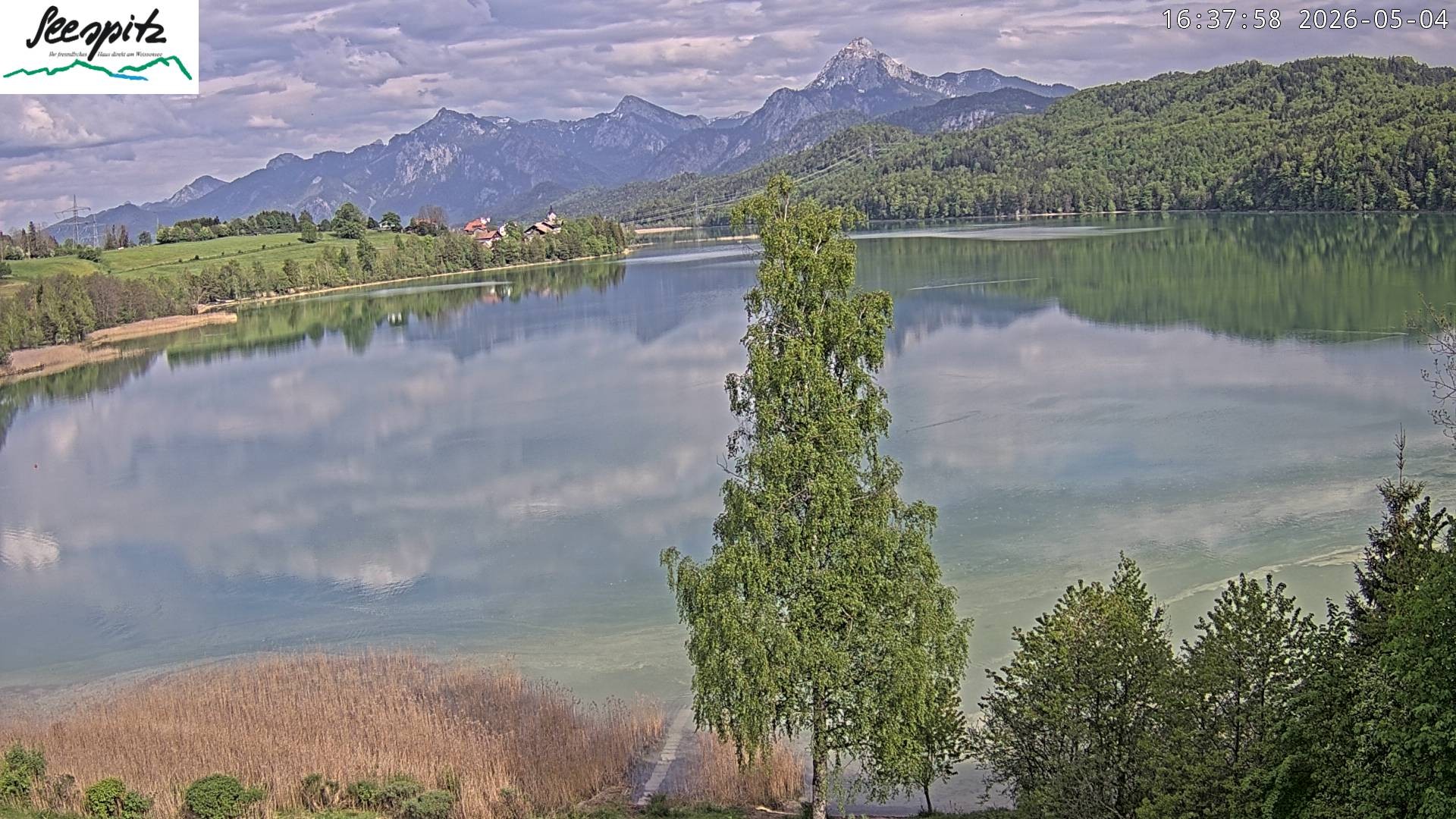 Archiv Foto Webcam Füssen: Blick auf den Weißensee vom Hotel Seespitz
