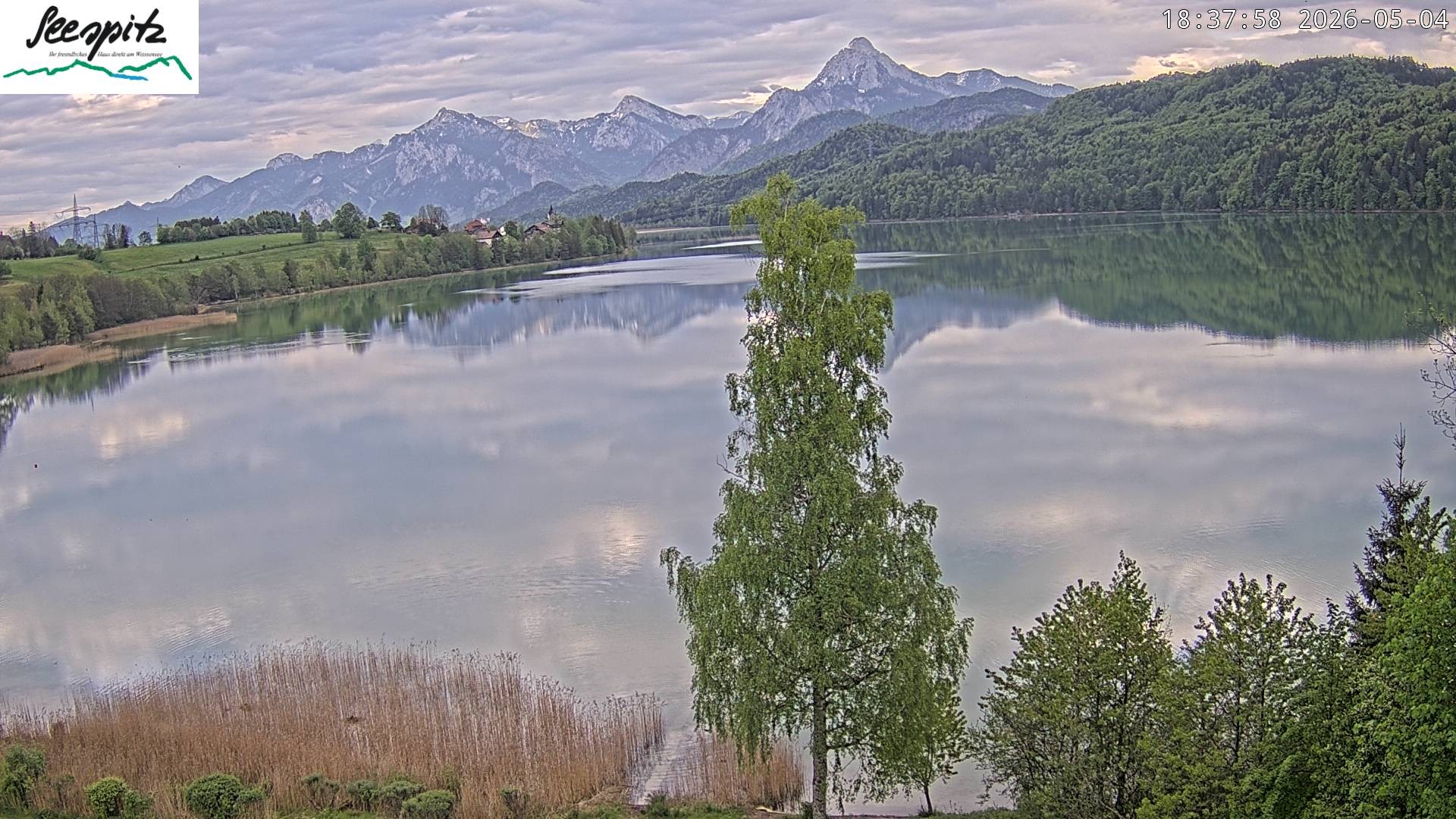 Archiv Foto Webcam Füssen: Blick auf den Weißensee vom Hotel Seespitz