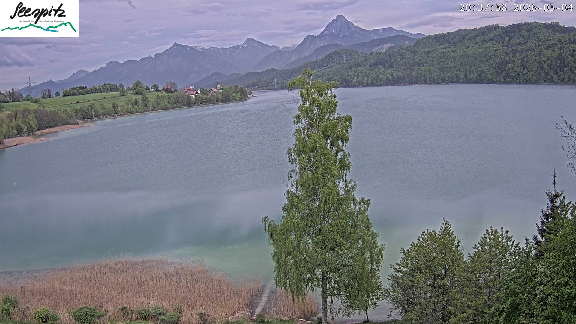 Archiv Foto Webcam Füssen: Blick auf den Weißensee vom Hotel Seespitz