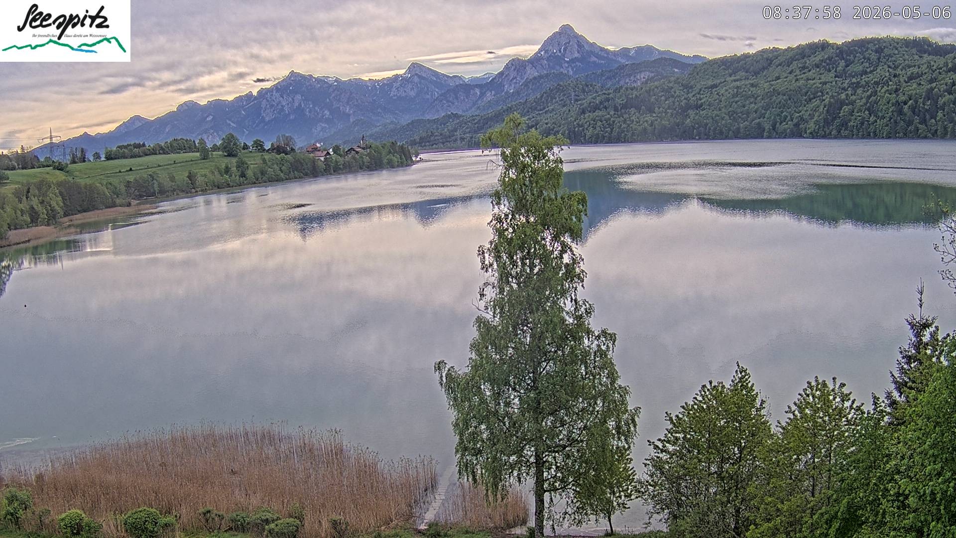 Archived image Webcam Weissensee near Füssen