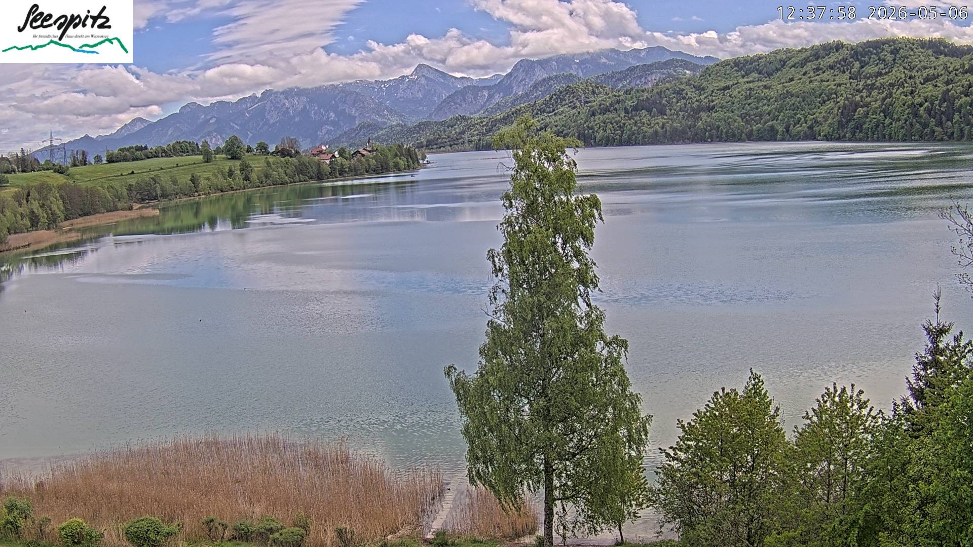 Archiv Foto Webcam Füssen: Blick auf den Weißensee vom Hotel Seespitz