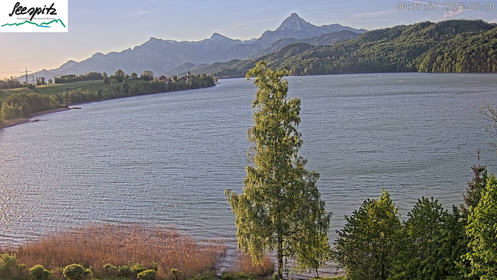 Archiv Foto Webcam Füssen: Blick auf den Weißensee vom Hotel Seespitz