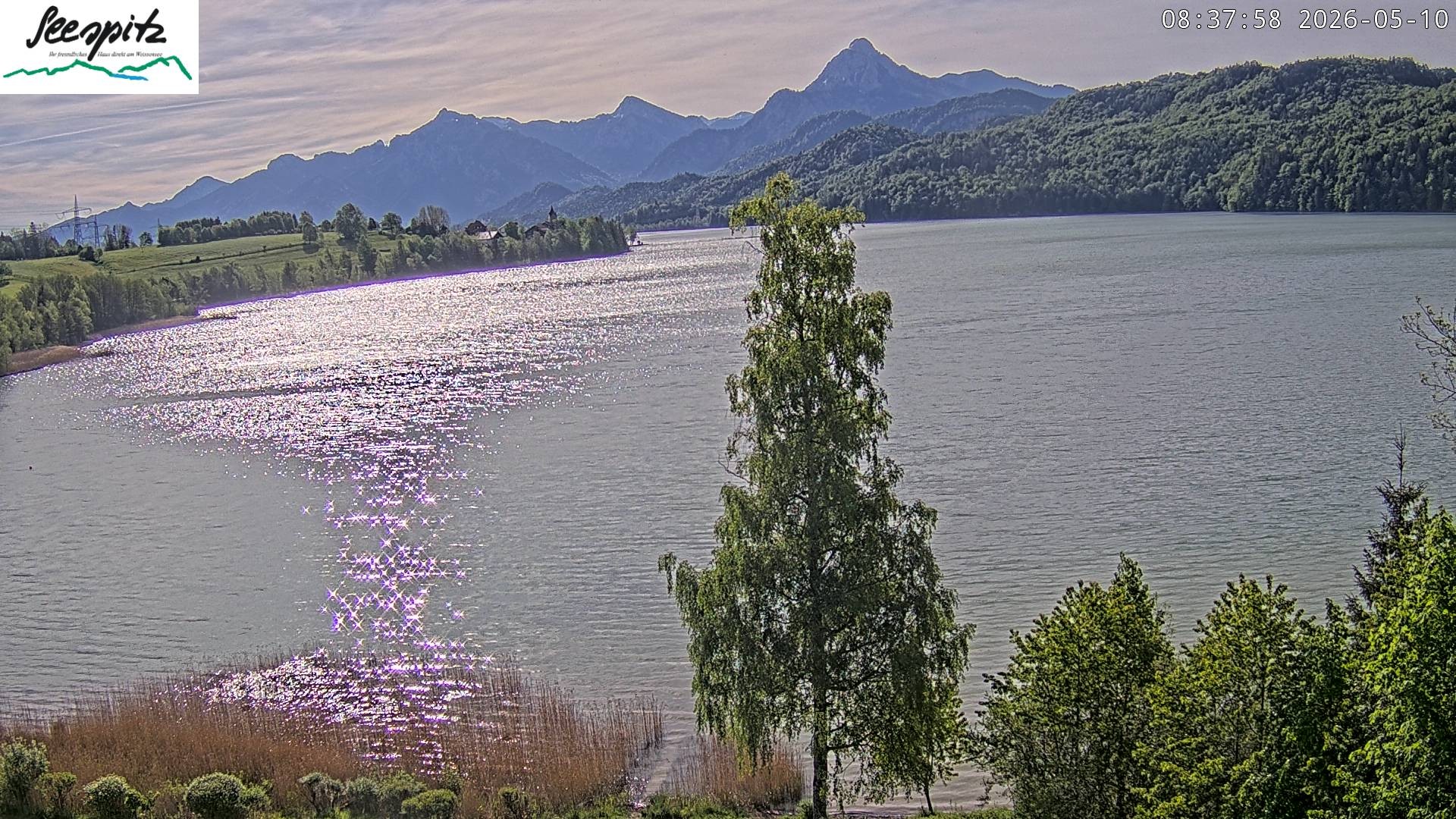 Archiv Foto Webcam Füssen: Blick auf den Weißensee vom Hotel Seespitz