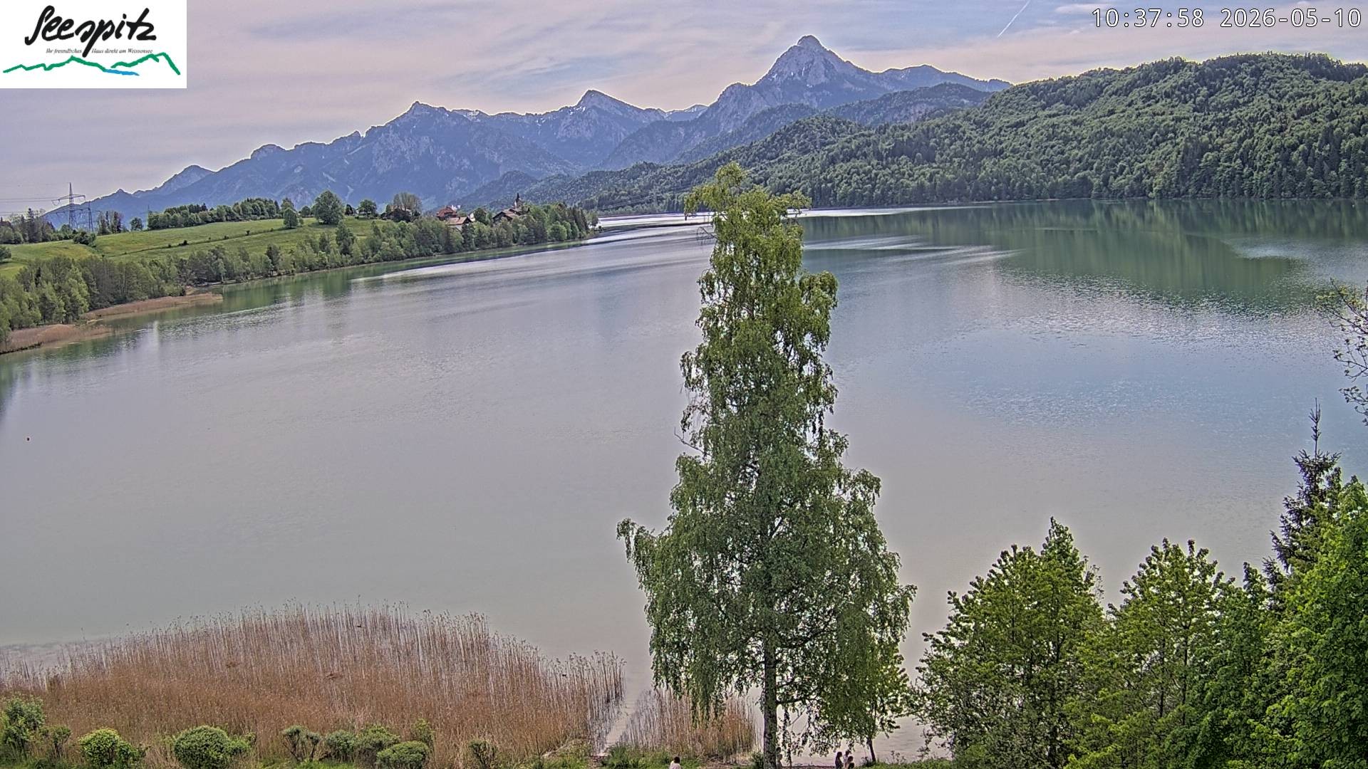 Archiv Foto Webcam Füssen: Blick auf den Weißensee vom Hotel Seespitz