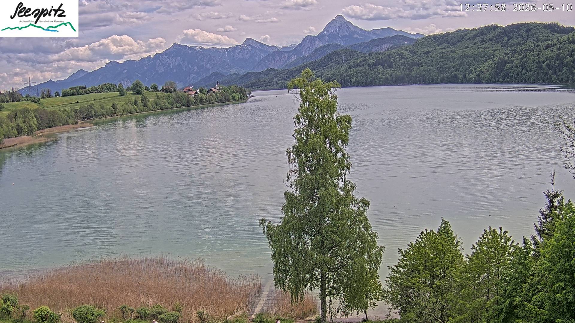 Archiv Foto Webcam Füssen: Blick auf den Weißensee vom Hotel Seespitz