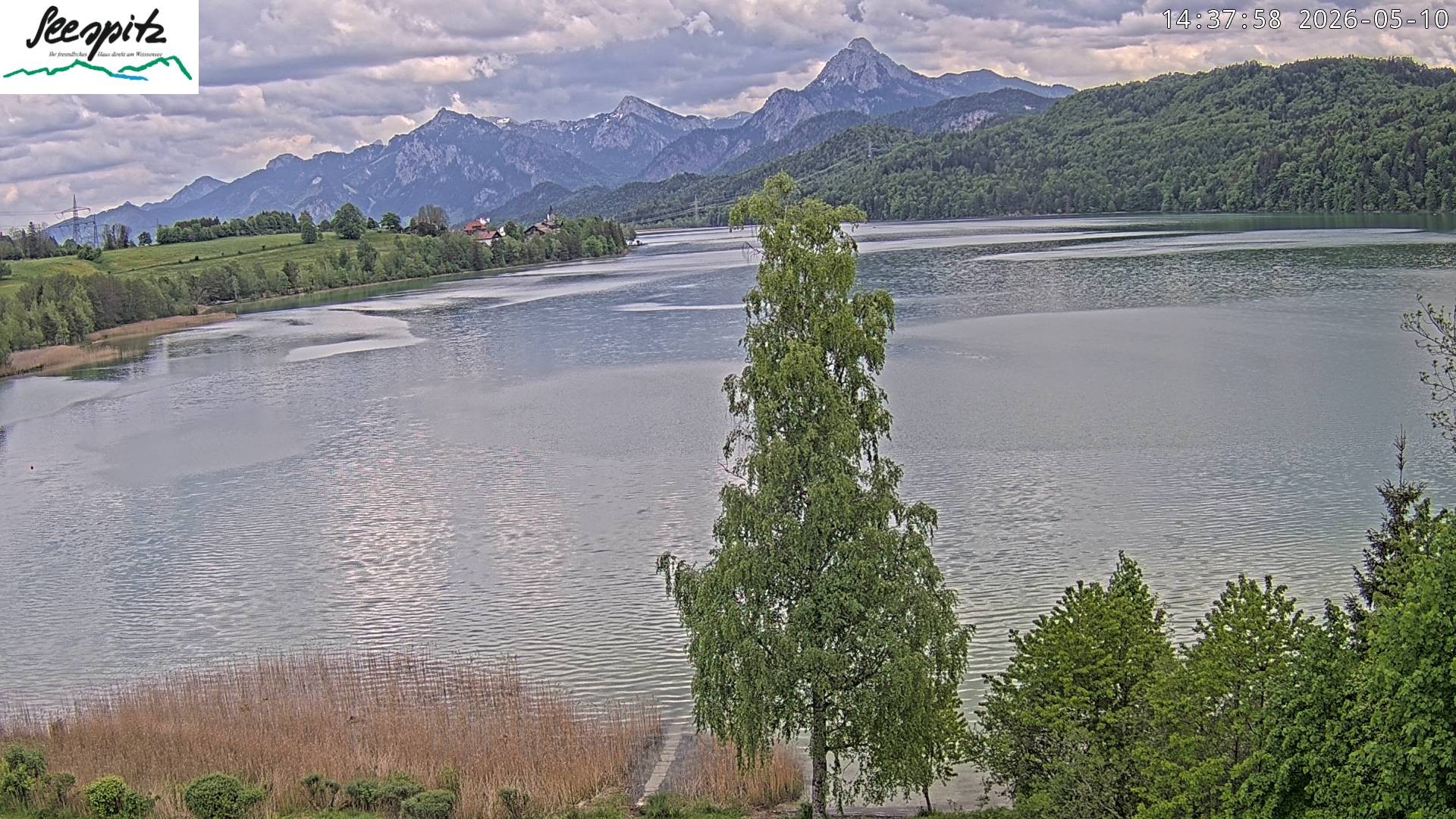 Archiv Foto Webcam Füssen: Blick auf den Weißensee vom Hotel Seespitz