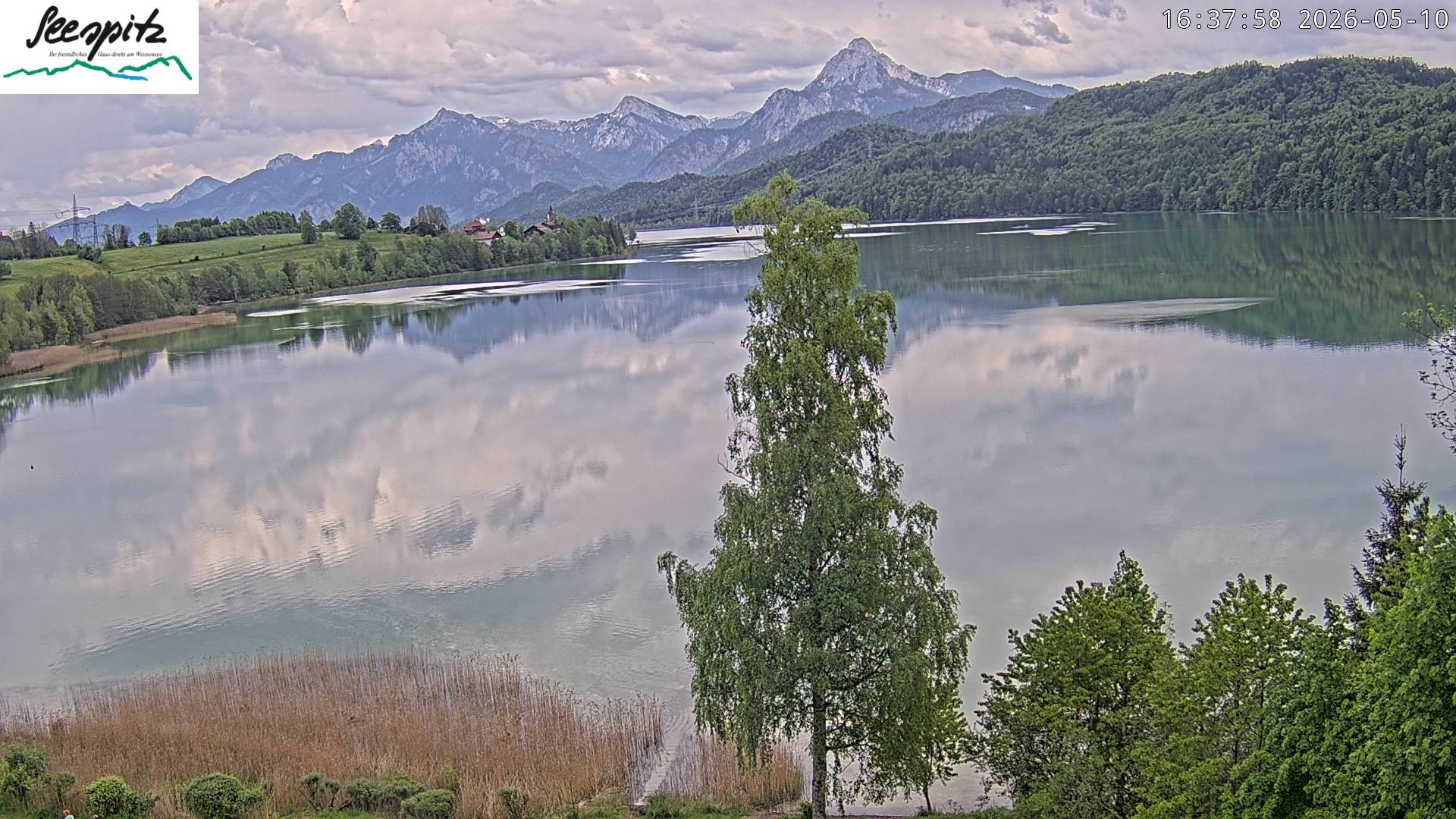 Archiv Foto Webcam Füssen: Blick auf den Weißensee vom Hotel Seespitz