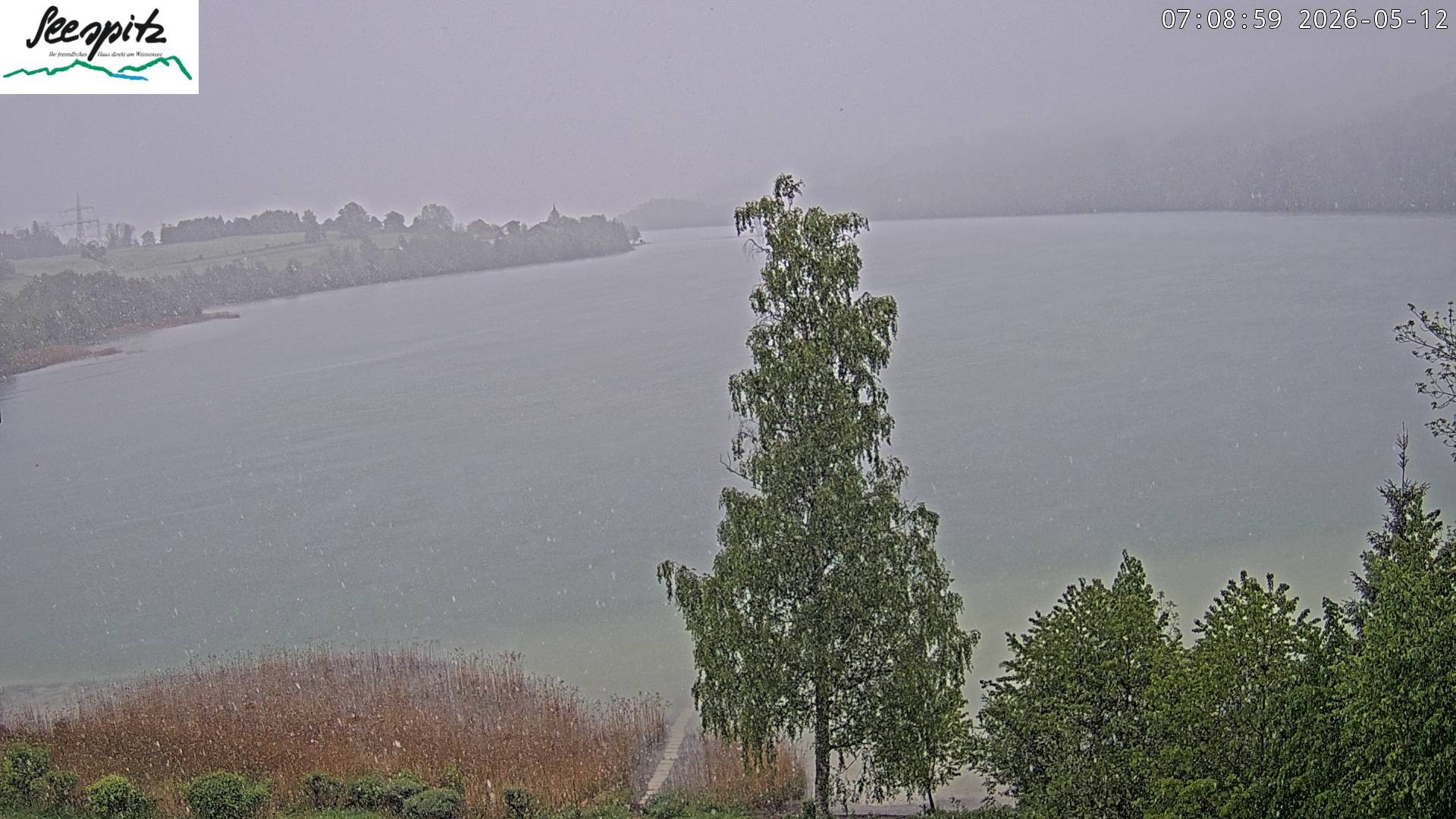 Archiv Foto Webcam Füssen: Blick auf den Weißensee vom Hotel Seespitz