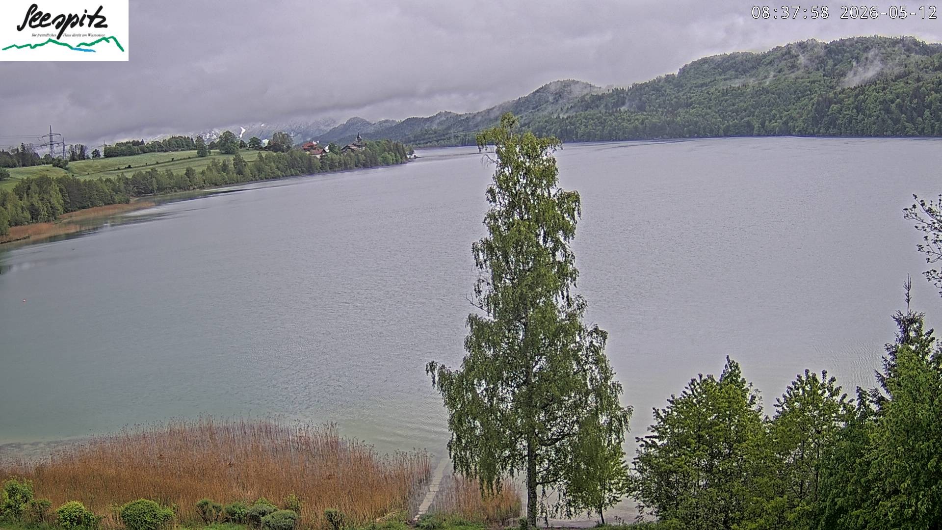 Archiv Foto Webcam Füssen: Blick auf den Weißensee vom Hotel Seespitz