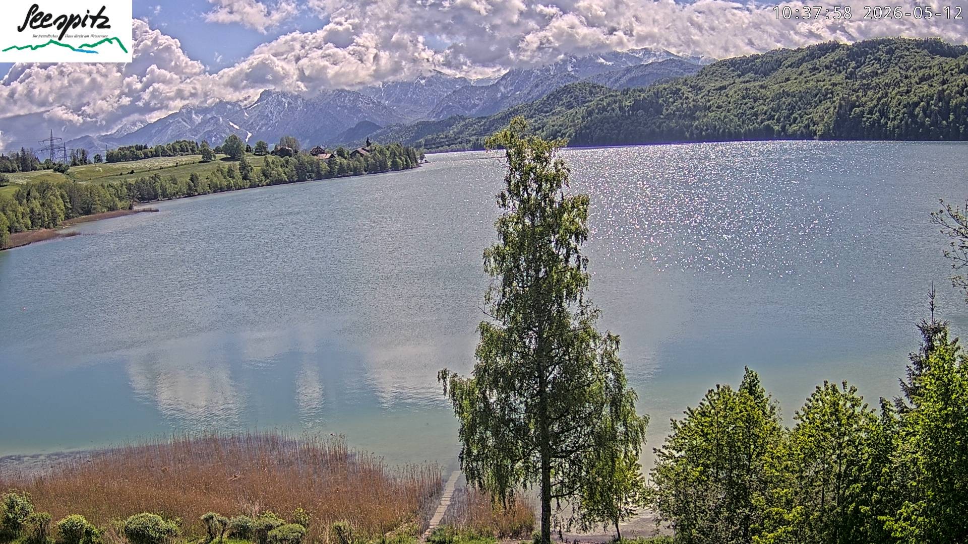 Archiv Foto Webcam Füssen: Blick auf den Weißensee vom Hotel Seespitz