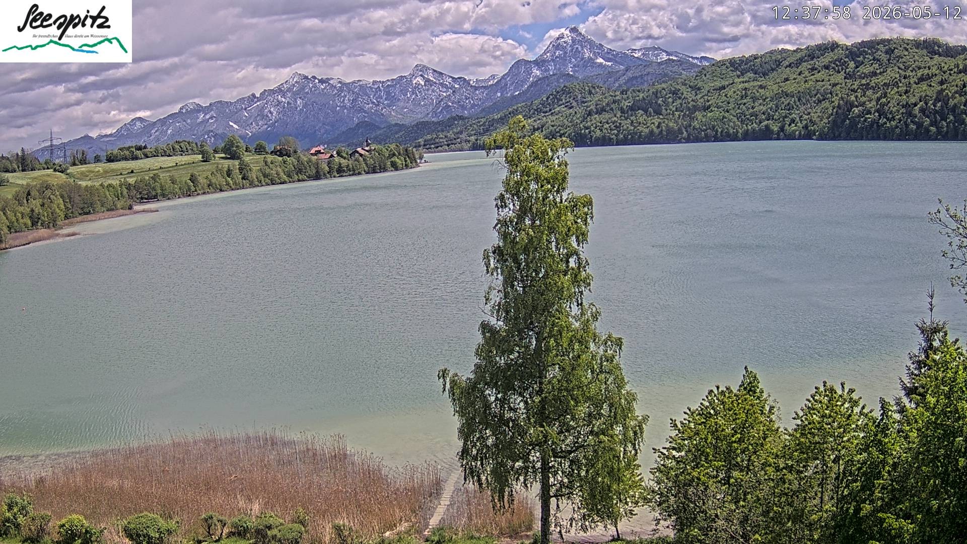 Archiv Foto Webcam Füssen: Blick auf den Weißensee vom Hotel Seespitz