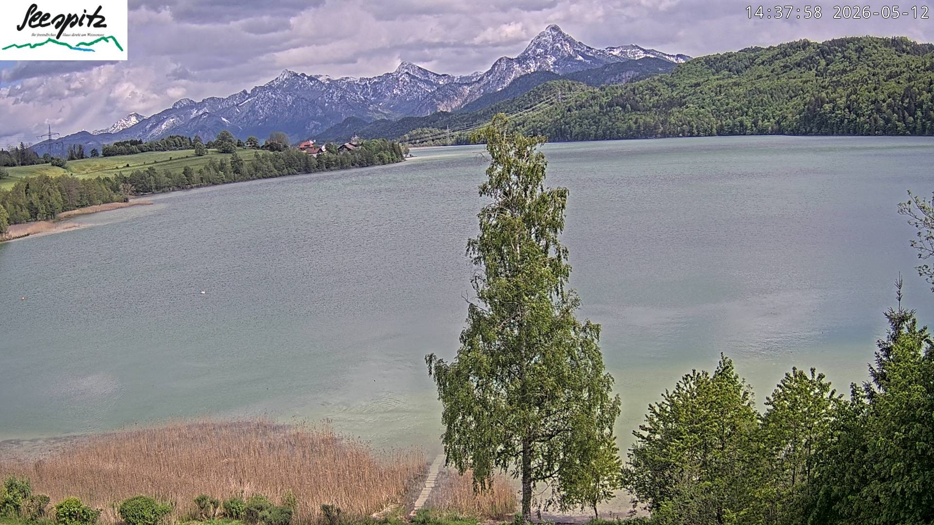 Archiv Foto Webcam Füssen: Blick auf den Weißensee vom Hotel Seespitz