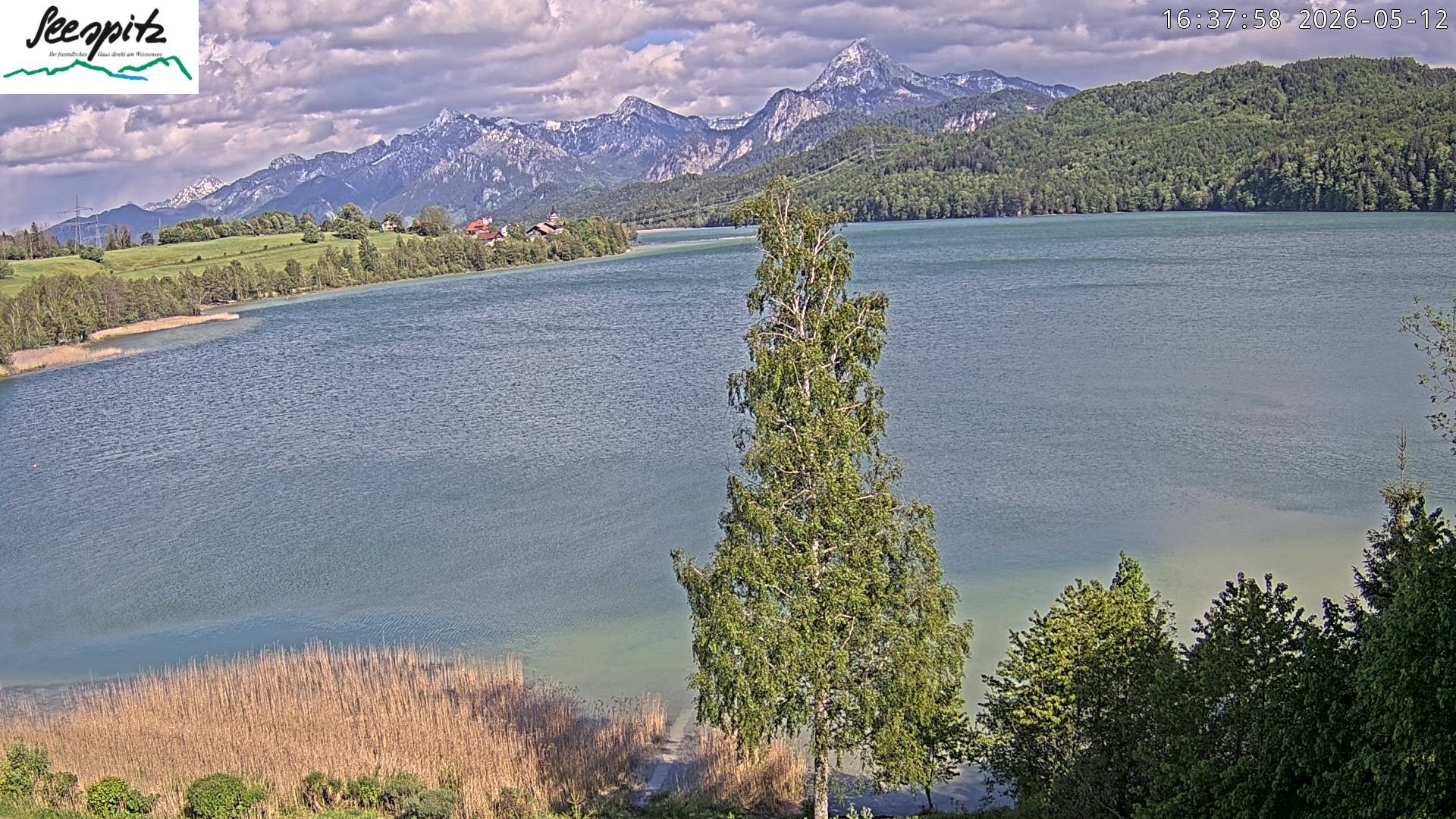Archiv Foto Webcam Füssen: Blick auf den Weißensee vom Hotel Seespitz