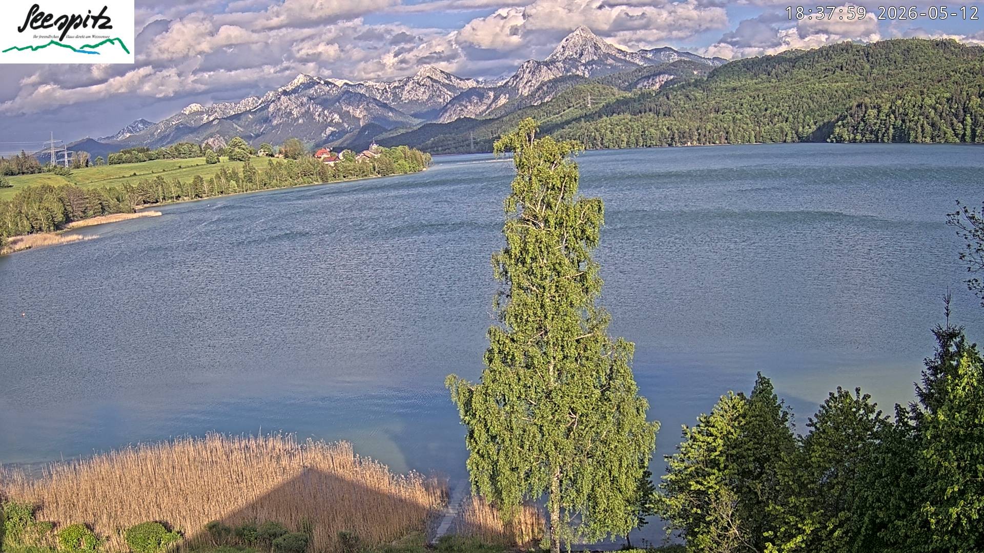 Archiv Foto Webcam Füssen: Blick auf den Weißensee vom Hotel Seespitz