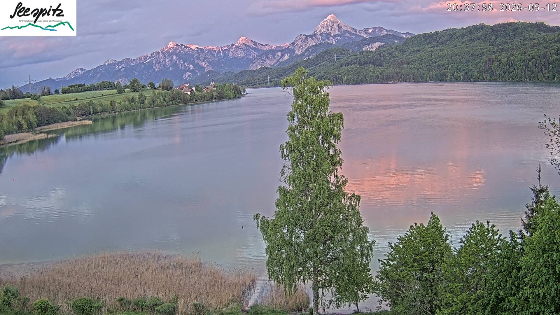 Archiv Foto Webcam Füssen: Blick auf den Weißensee vom Hotel Seespitz