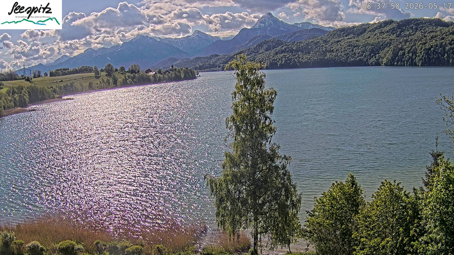 Archiv Foto Webcam Füssen: Blick auf den Weißensee vom Hotel Seespitz