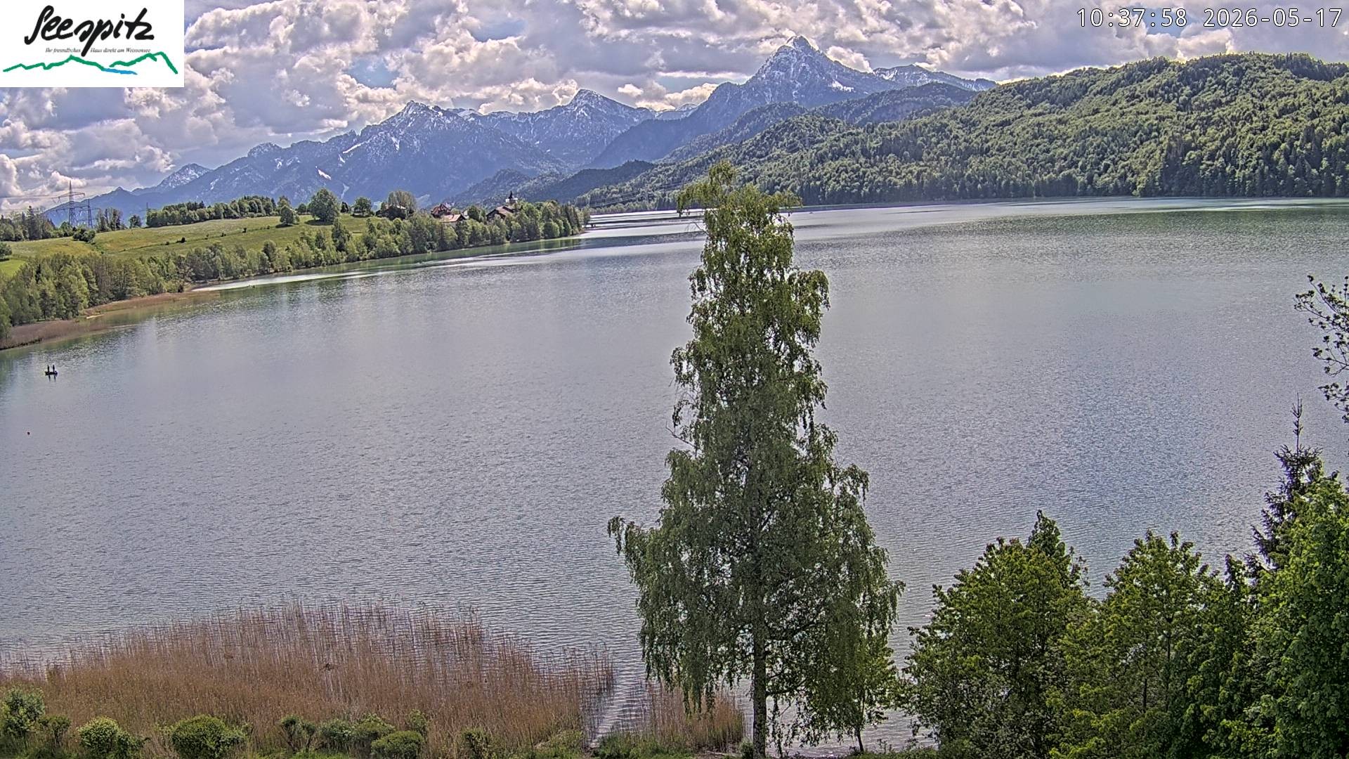 Archiv Foto Webcam Füssen: Blick auf den Weißensee vom Hotel Seespitz