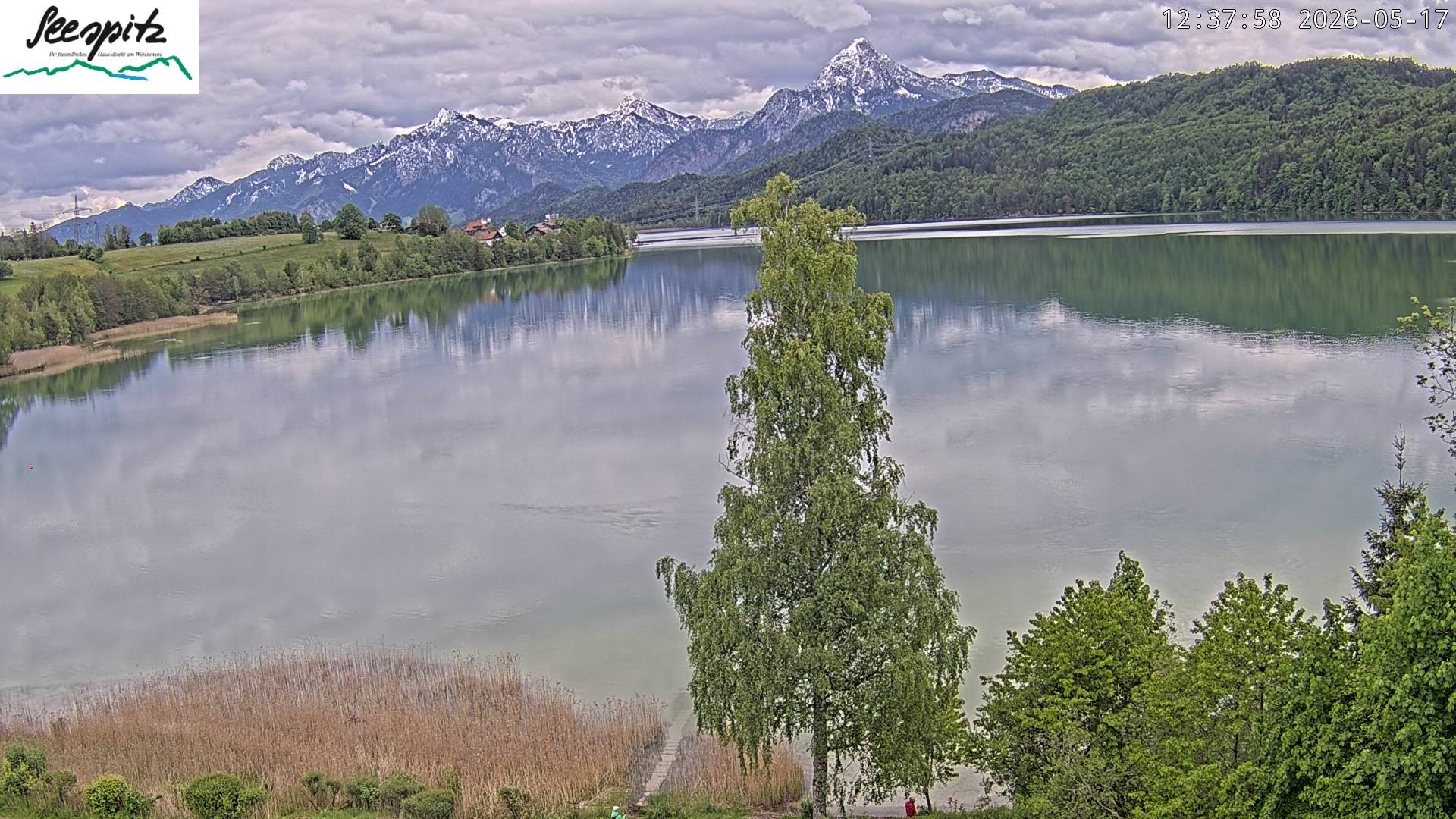 Archiv Foto Webcam Füssen: Blick auf den Weißensee vom Hotel Seespitz