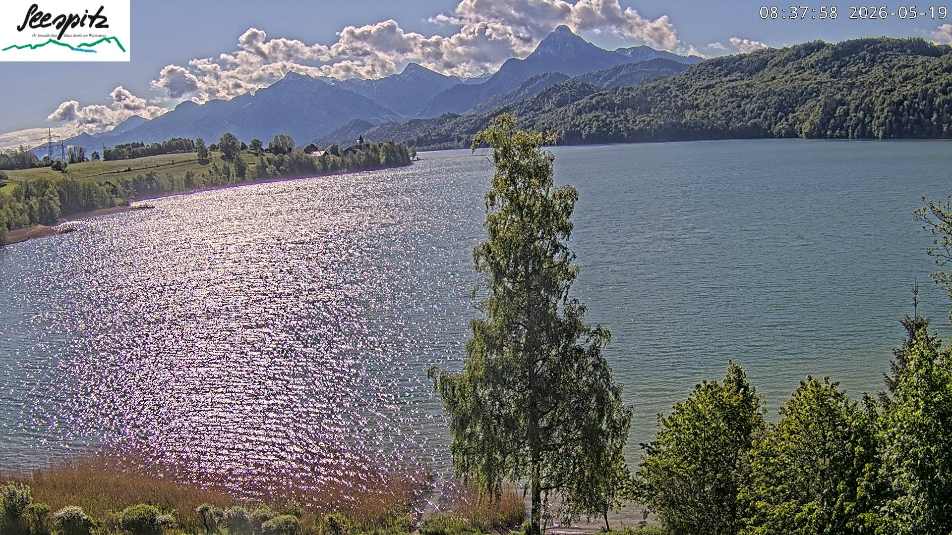 Archiv Foto Webcam Füssen: Blick auf den Weißensee vom Hotel Seespitz