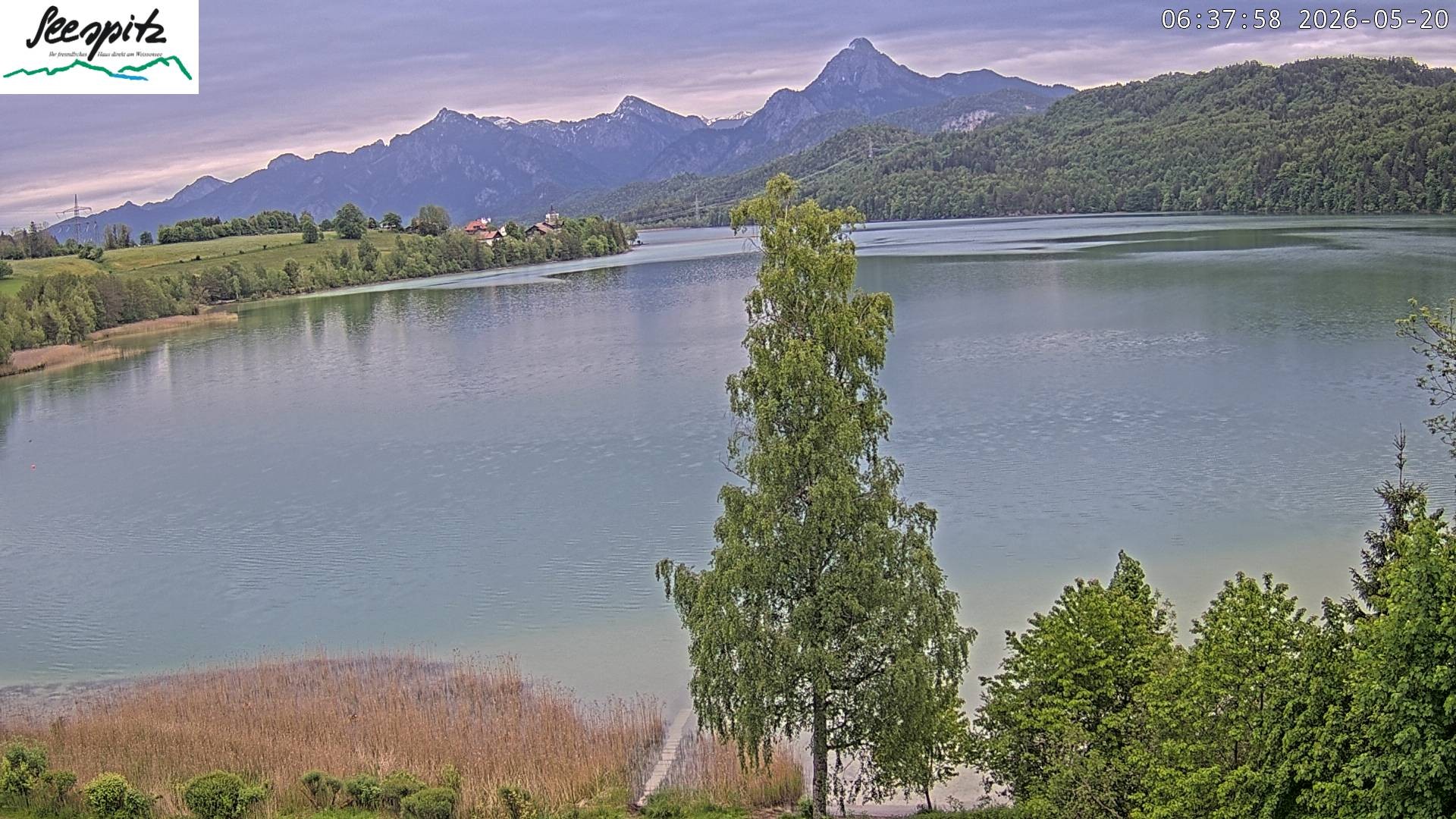 Archiv Foto Webcam Füssen: Blick auf den Weißensee vom Hotel Seespitz