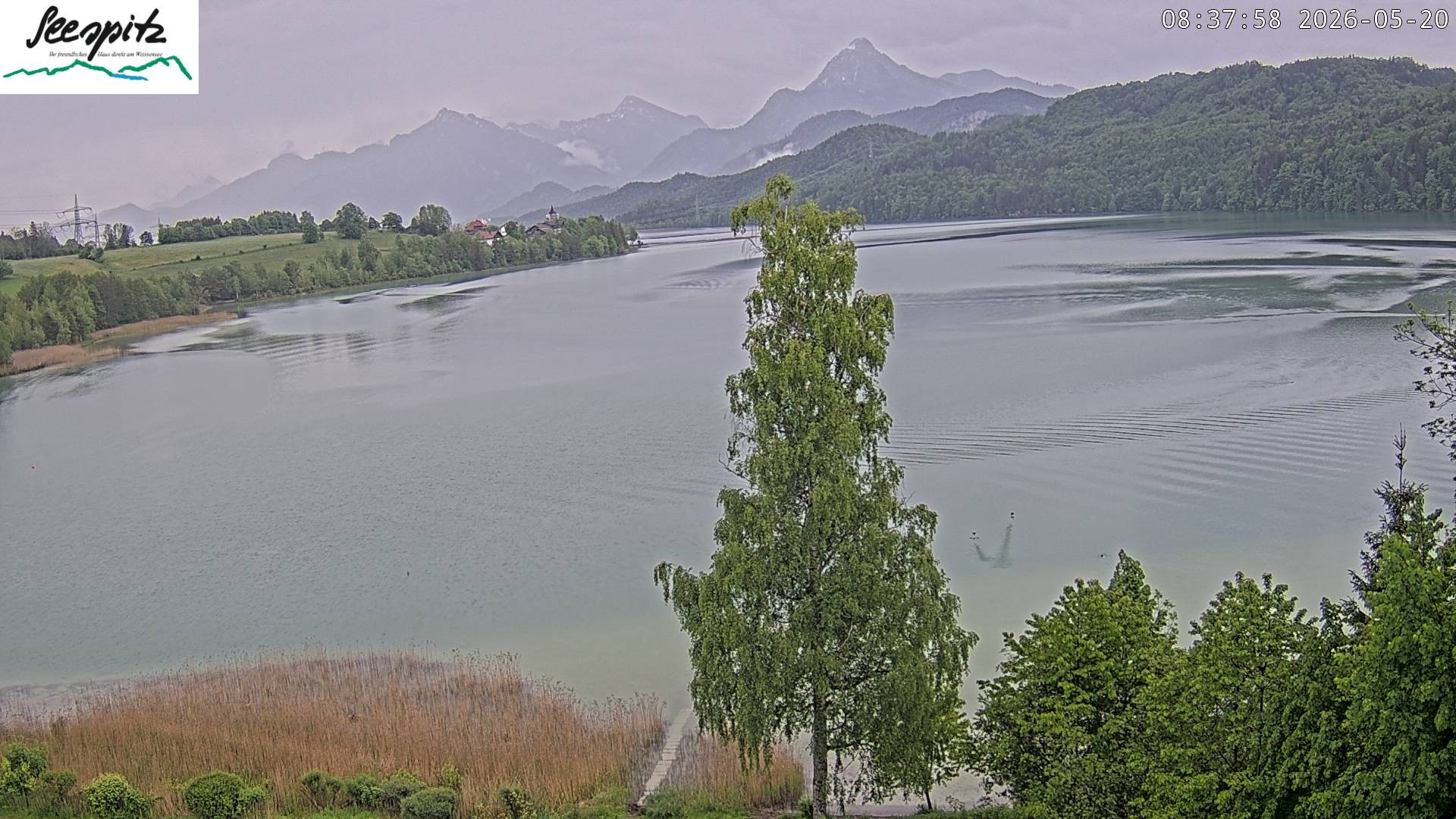 Archiv Foto Webcam Füssen: Blick auf den Weißensee vom Hotel Seespitz