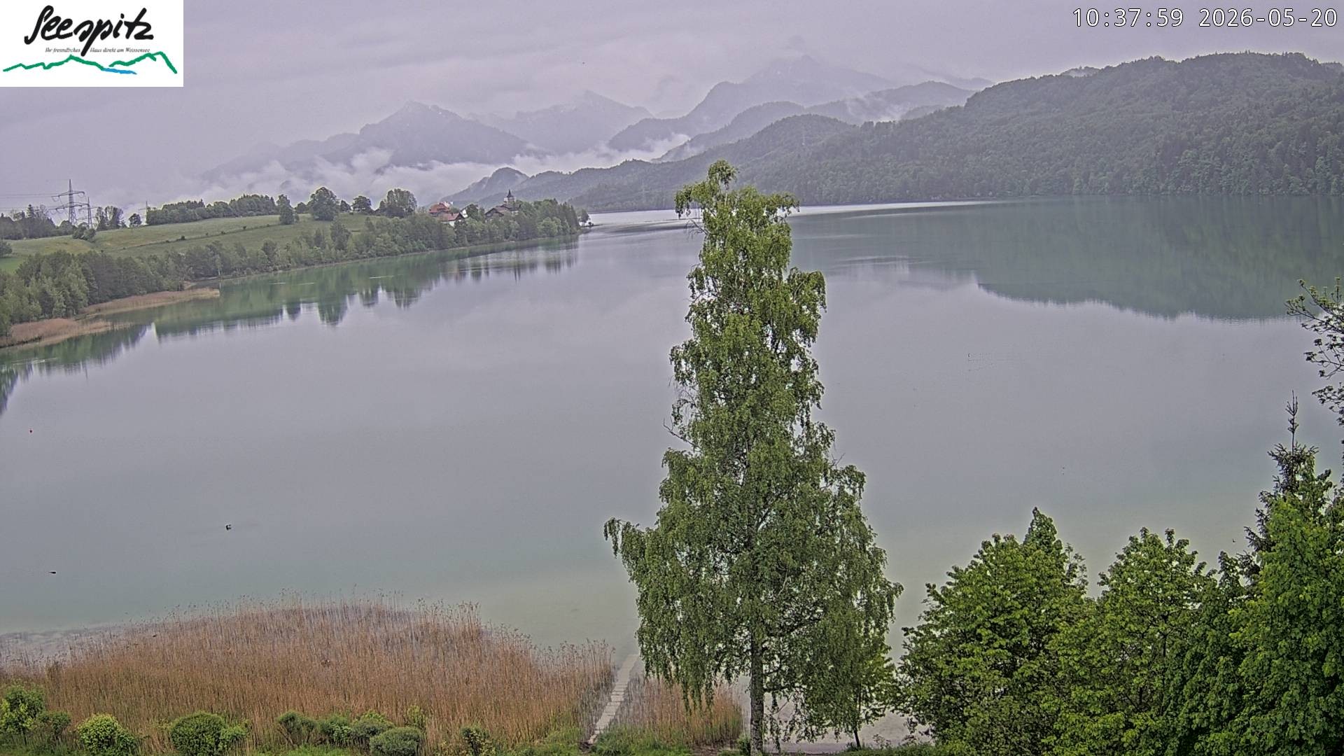 Archiv Foto Webcam Füssen: Blick auf den Weißensee vom Hotel Seespitz