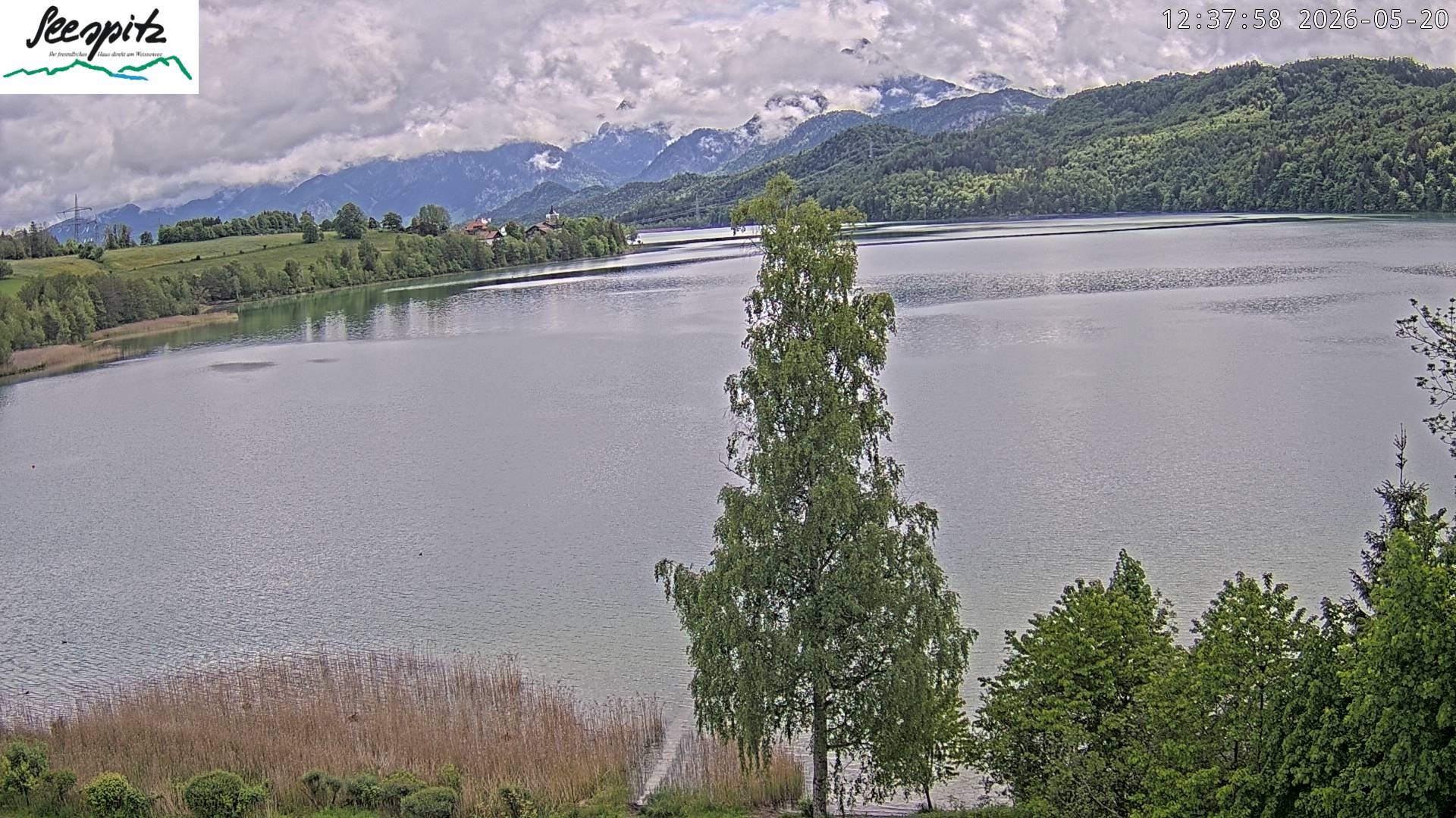 Archiv Foto Webcam Füssen: Blick auf den Weißensee vom Hotel Seespitz