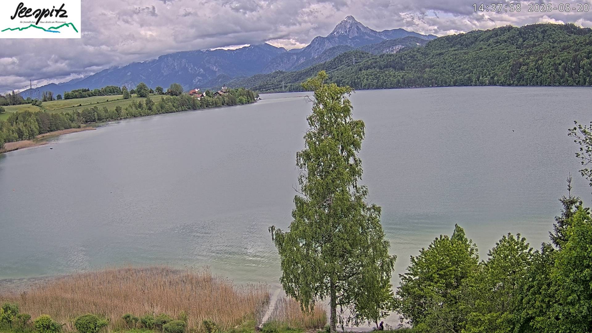 Archiv Foto Webcam Füssen: Blick auf den Weißensee vom Hotel Seespitz