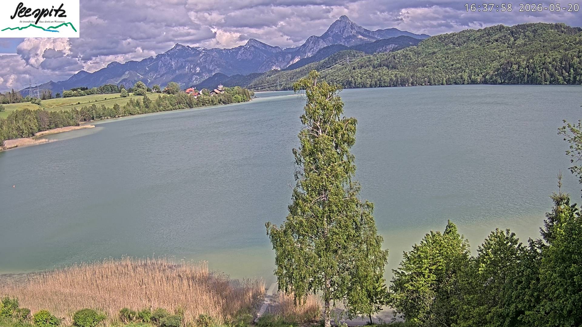 Archiv Foto Webcam Füssen: Blick auf den Weißensee vom Hotel Seespitz