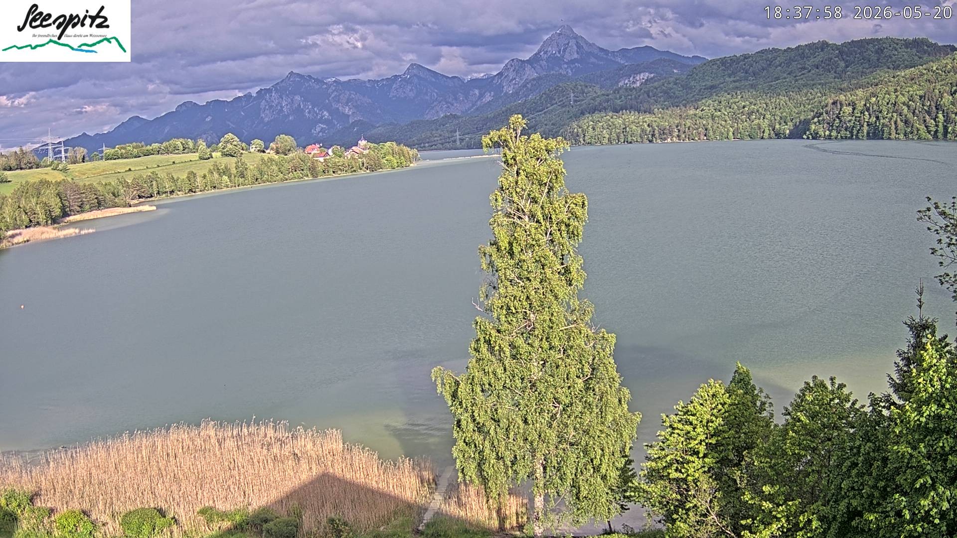 Archiv Foto Webcam Füssen: Blick auf den Weißensee vom Hotel Seespitz