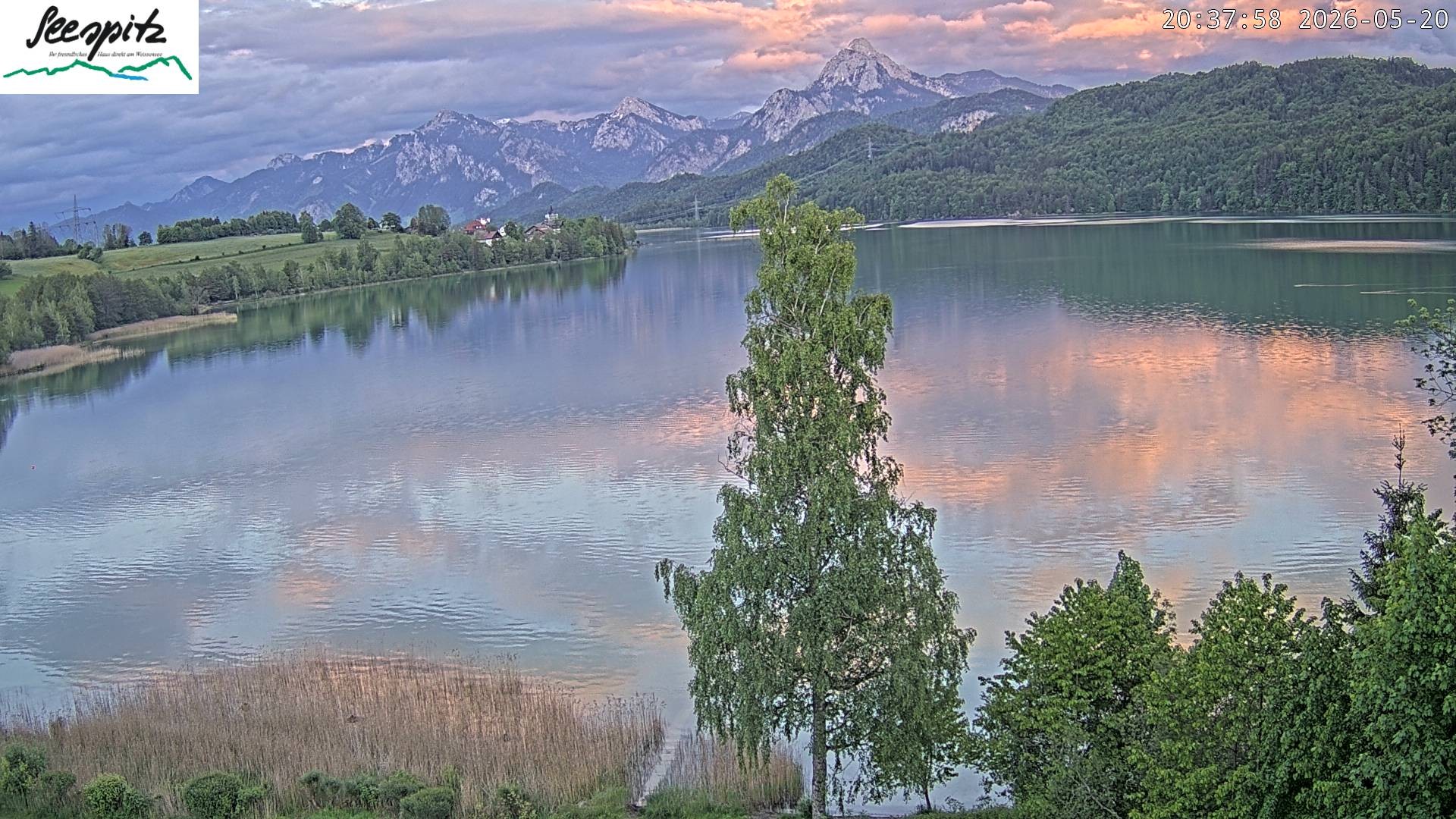Archiv Foto Webcam Füssen: Blick auf den Weißensee vom Hotel Seespitz