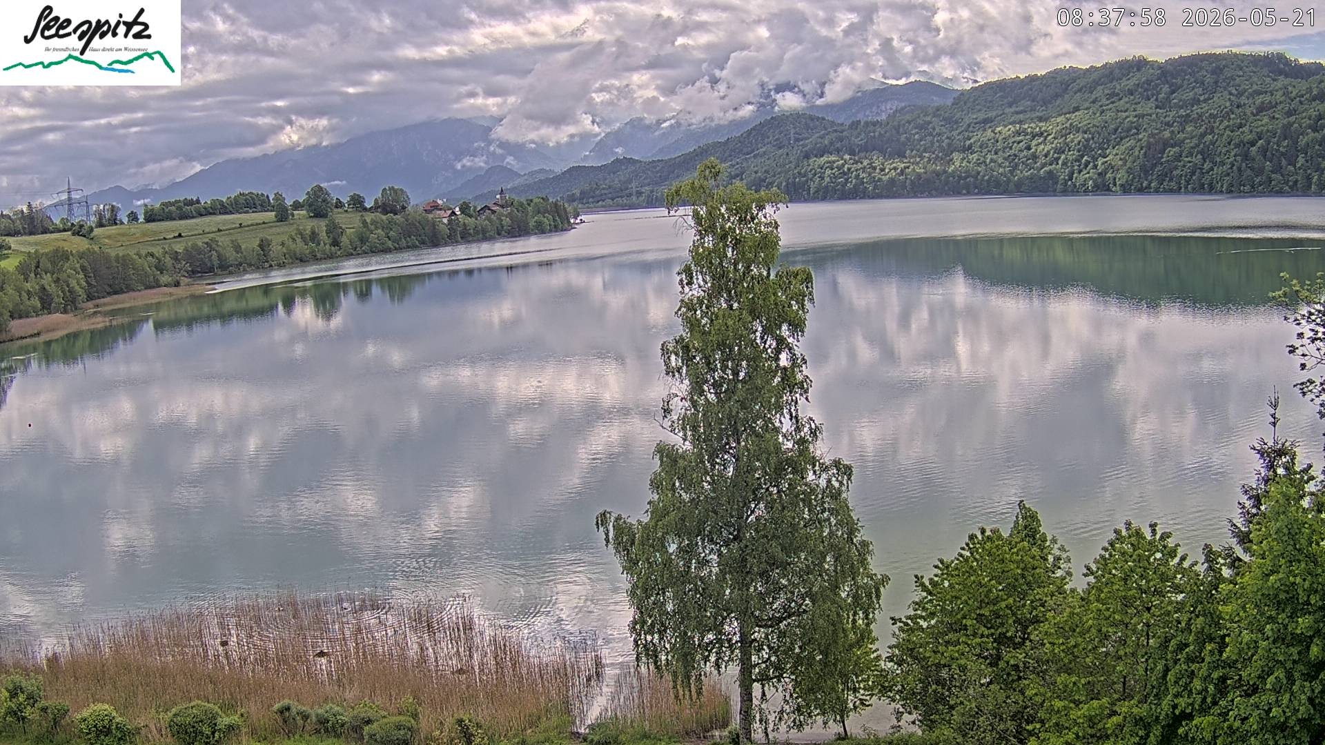 Archiv Foto Webcam Füssen: Blick auf den Weißensee vom Hotel Seespitz