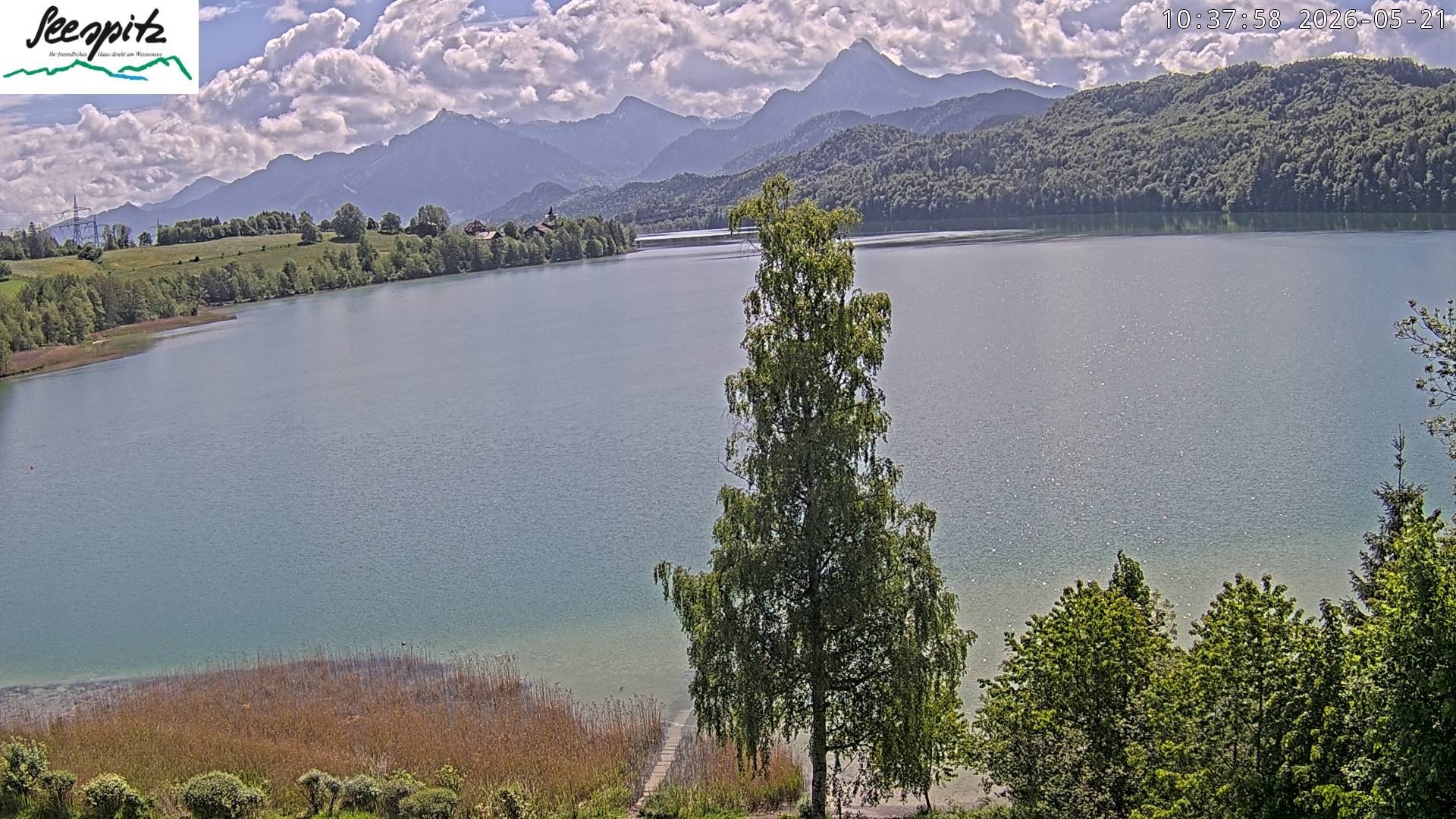Archiv Foto Webcam Füssen: Blick auf den Weißensee vom Hotel Seespitz
