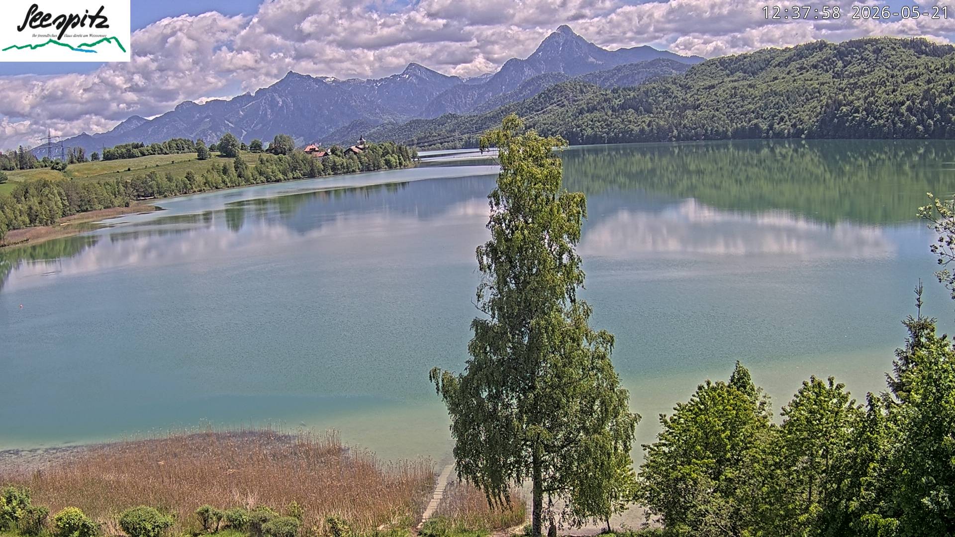 Archiv Foto Webcam Füssen: Blick auf den Weißensee vom Hotel Seespitz