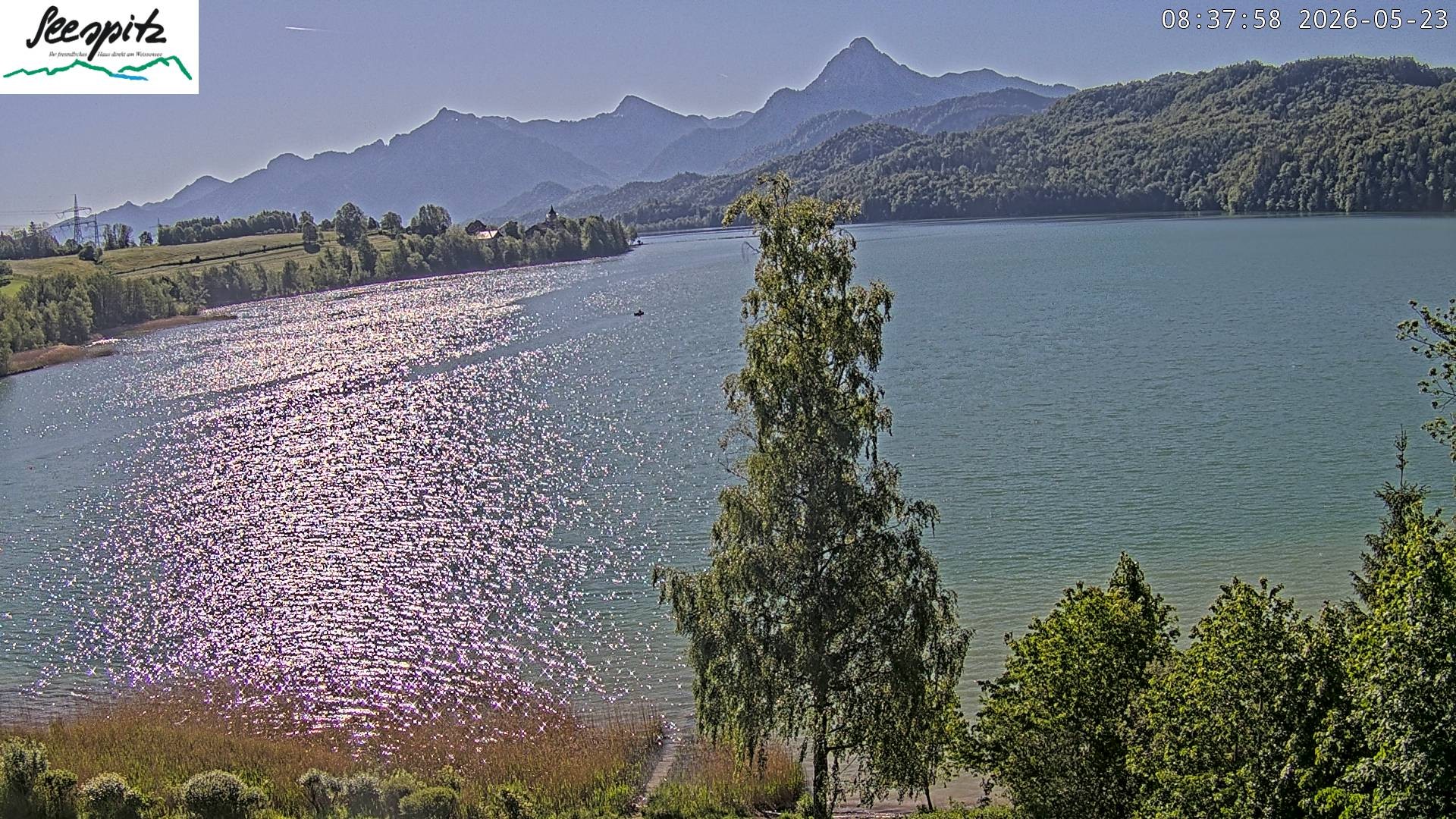 Archiv Foto Webcam Füssen: Blick auf den Weißensee vom Hotel Seespitz