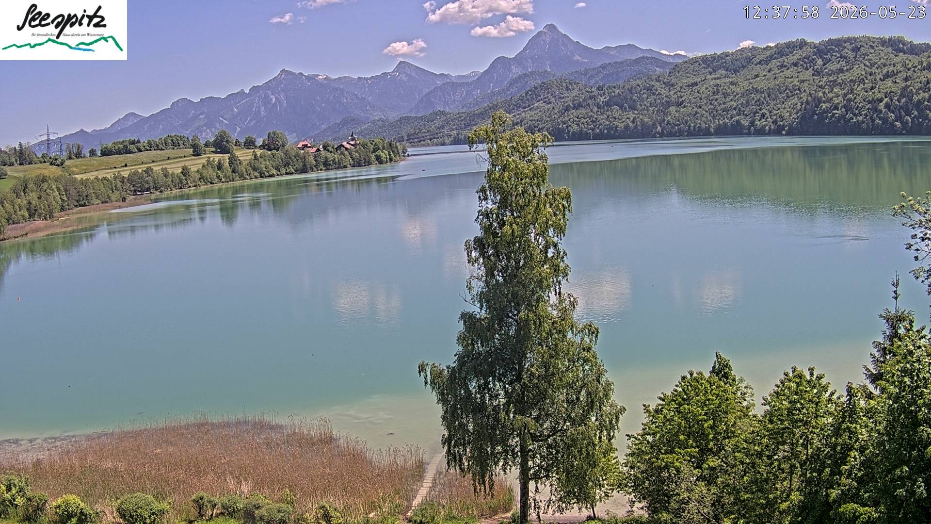Archiv Foto Webcam Füssen: Blick auf den Weißensee vom Hotel Seespitz