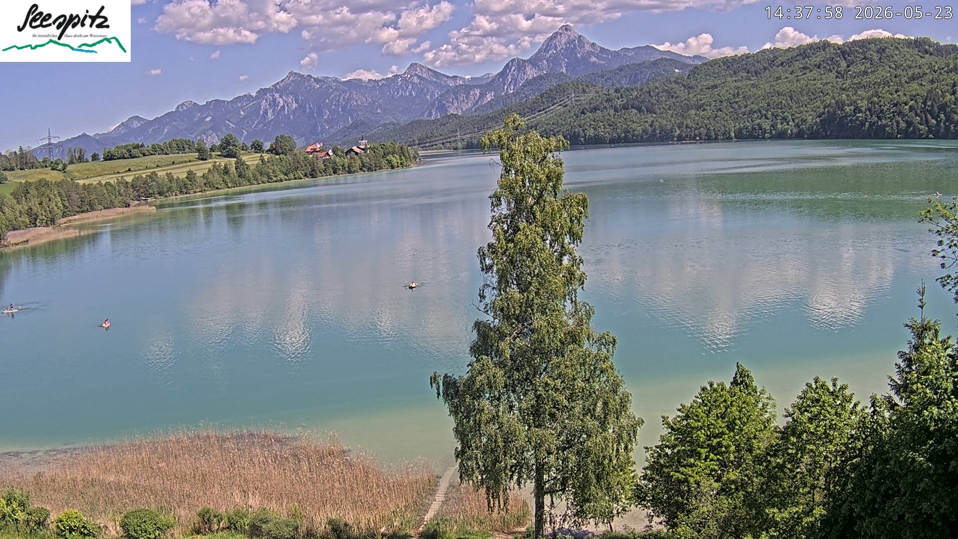 Archiv Foto Webcam Füssen: Blick auf den Weißensee vom Hotel Seespitz