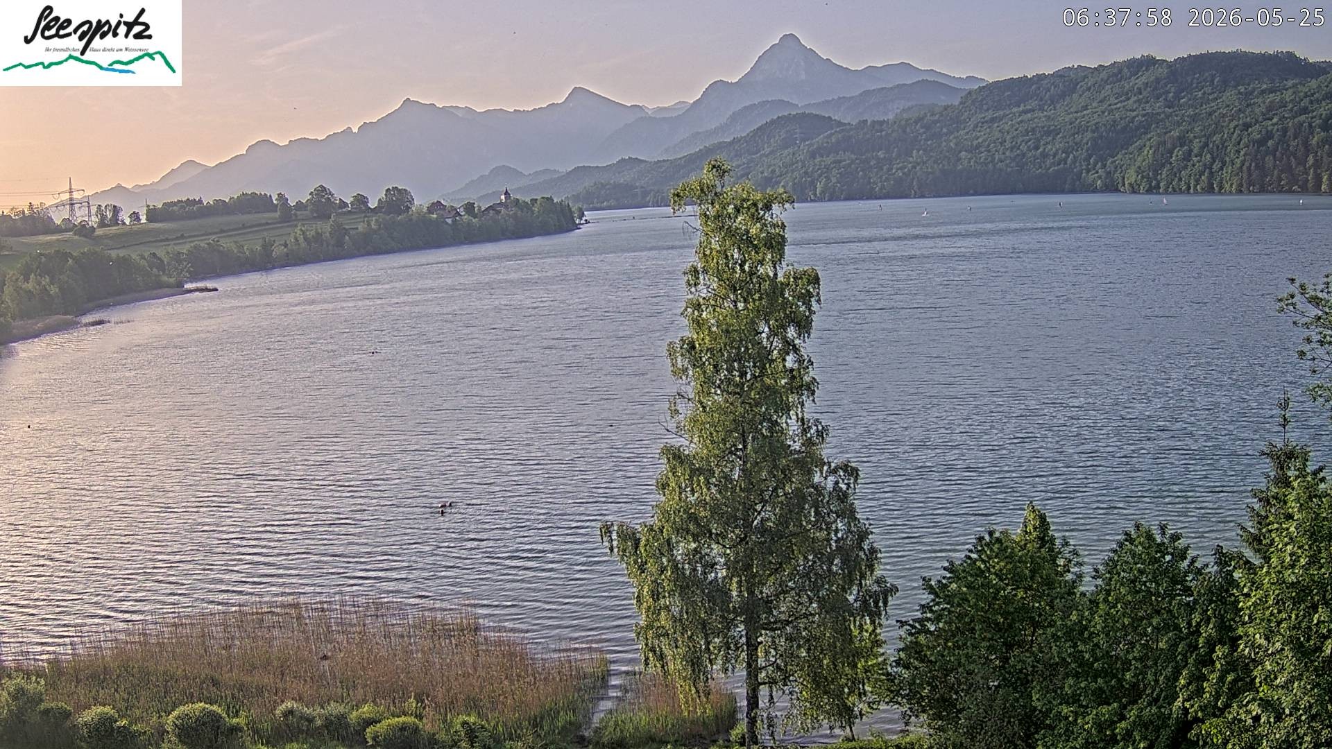 Archiv Foto Webcam Füssen: Blick auf den Weißensee vom Hotel Seespitz