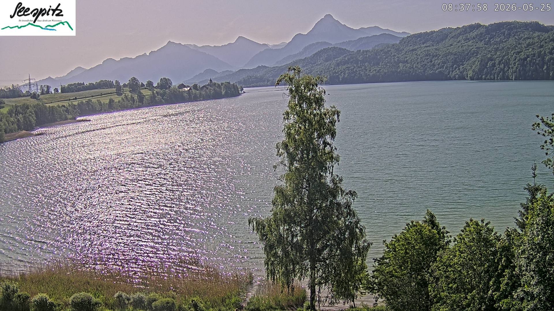 Archiv Foto Webcam Füssen: Blick auf den Weißensee vom Hotel Seespitz