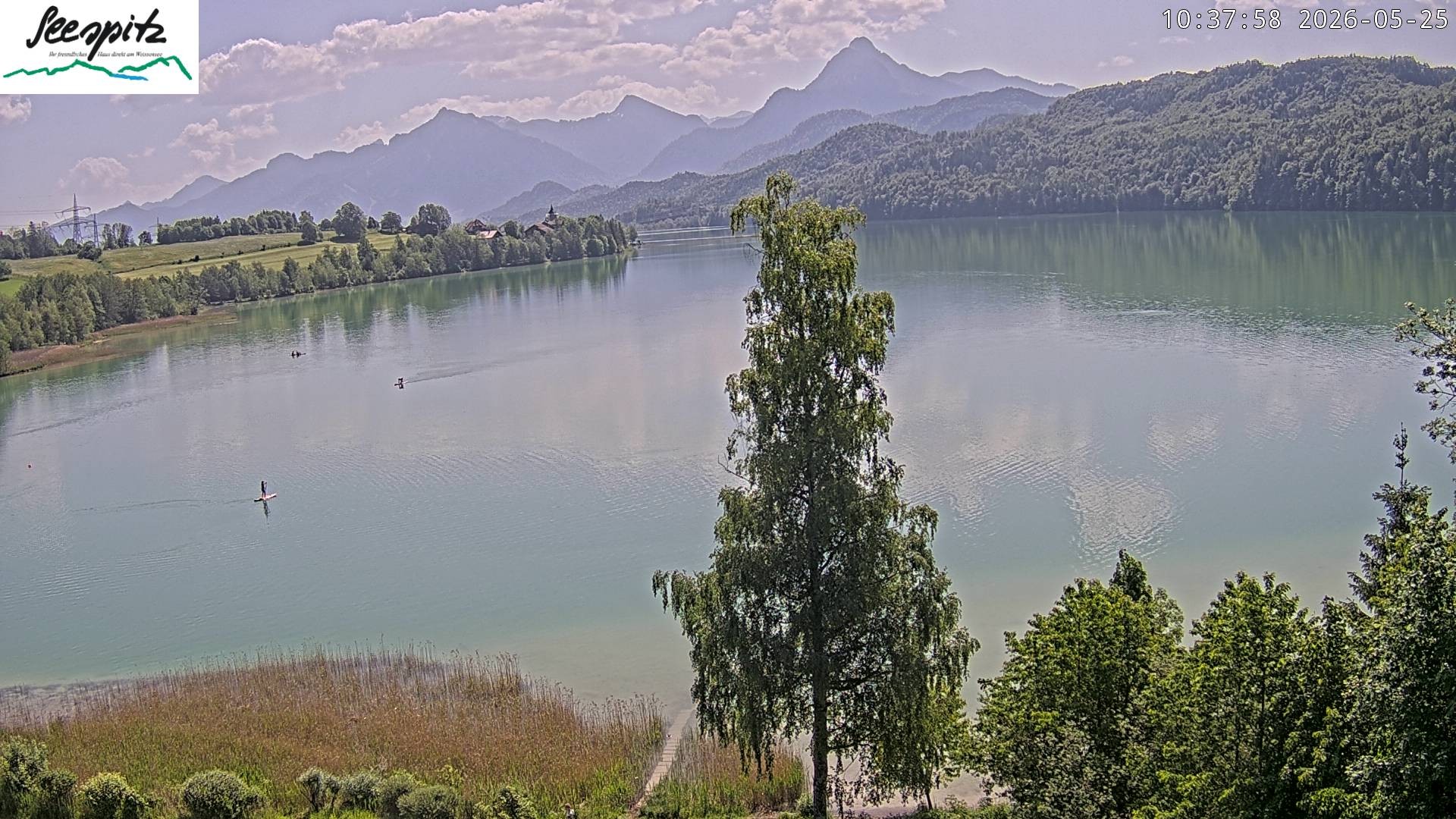 Archiv Foto Webcam Füssen: Blick auf den Weißensee vom Hotel Seespitz