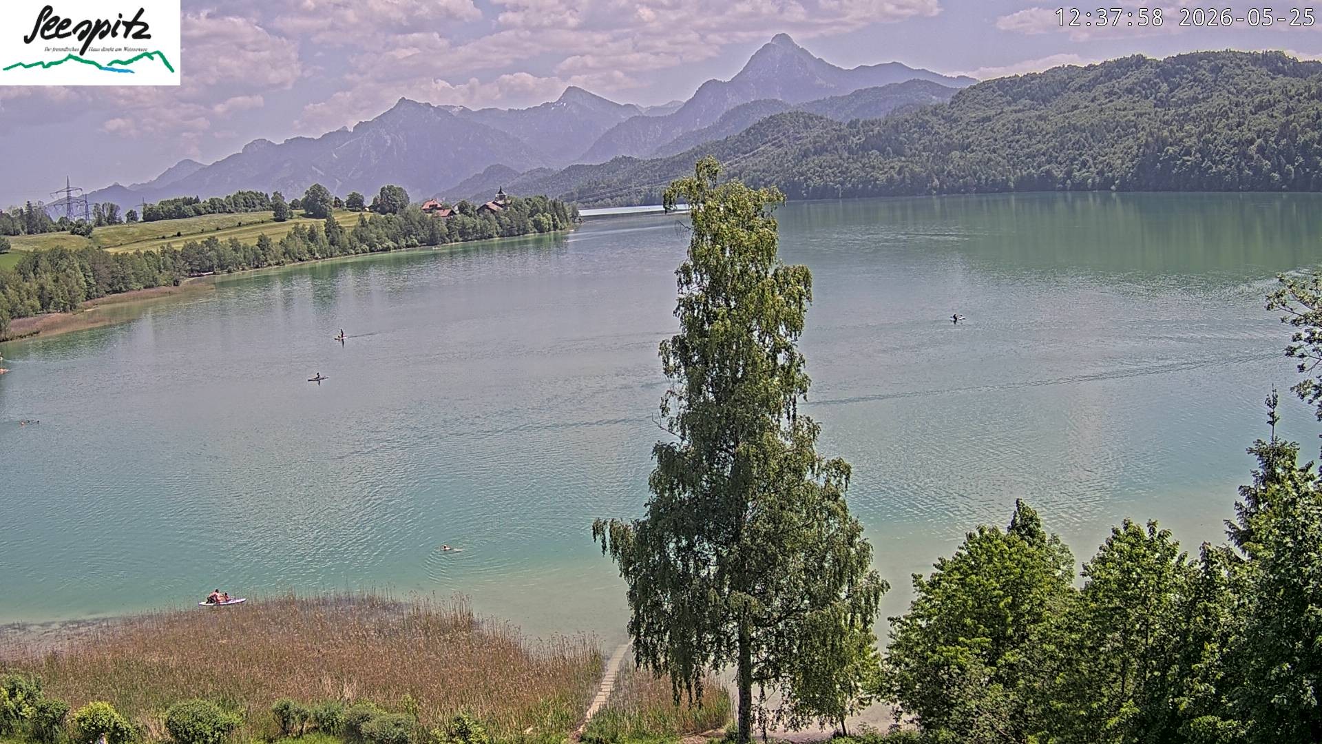 Archiv Foto Webcam Füssen: Blick auf den Weißensee vom Hotel Seespitz