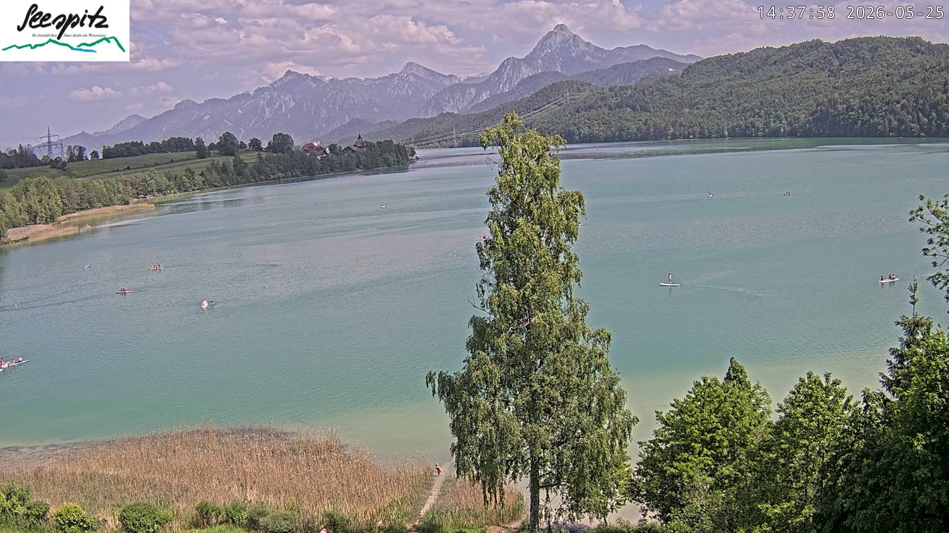 Archiv Foto Webcam Füssen: Blick auf den Weißensee vom Hotel Seespitz
