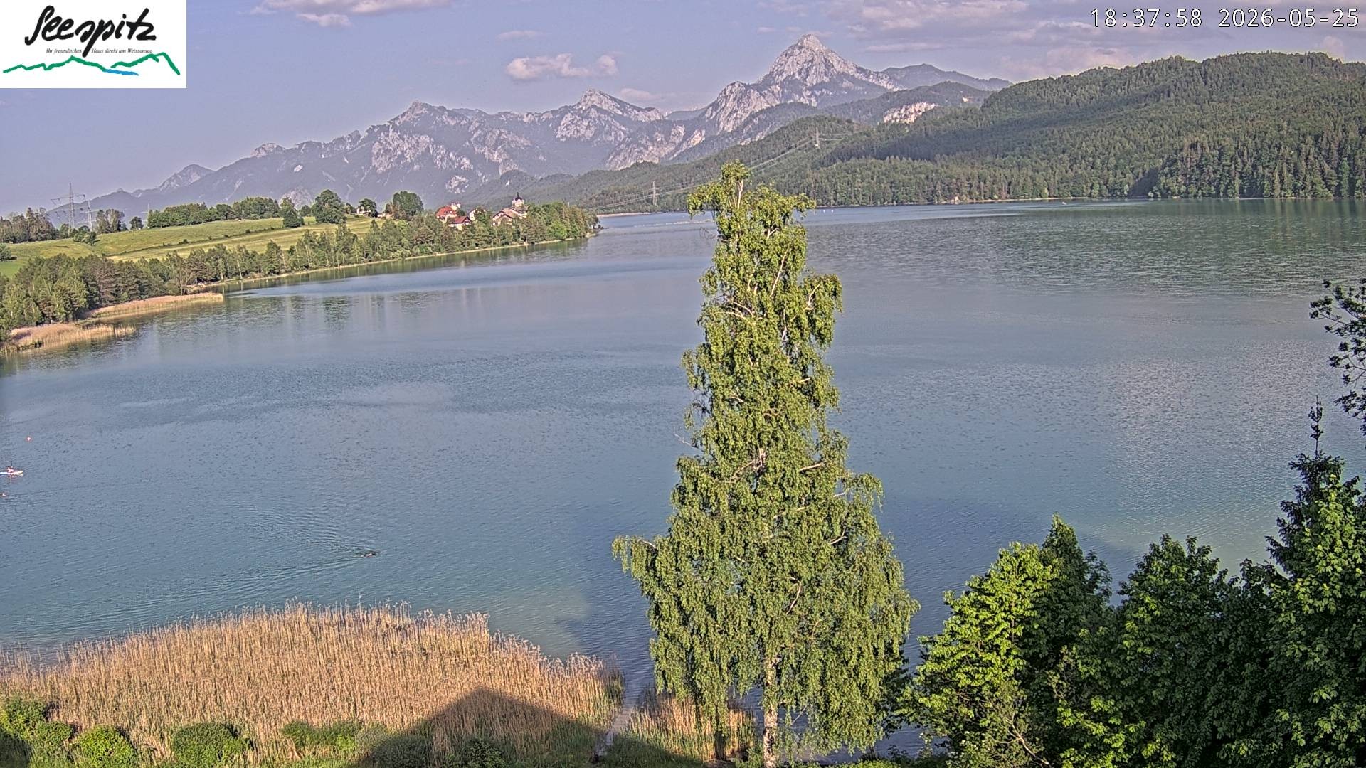 Archiv Foto Webcam Füssen: Blick auf den Weißensee vom Hotel Seespitz