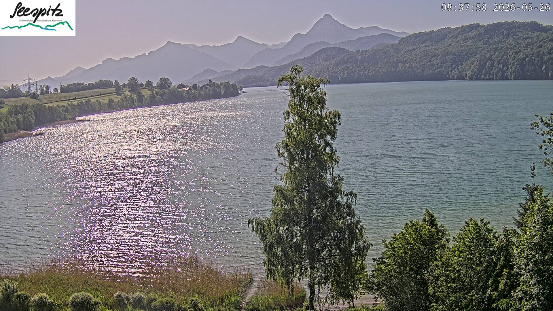 Archiv Foto Webcam Füssen: Blick auf den Weißensee vom Hotel Seespitz