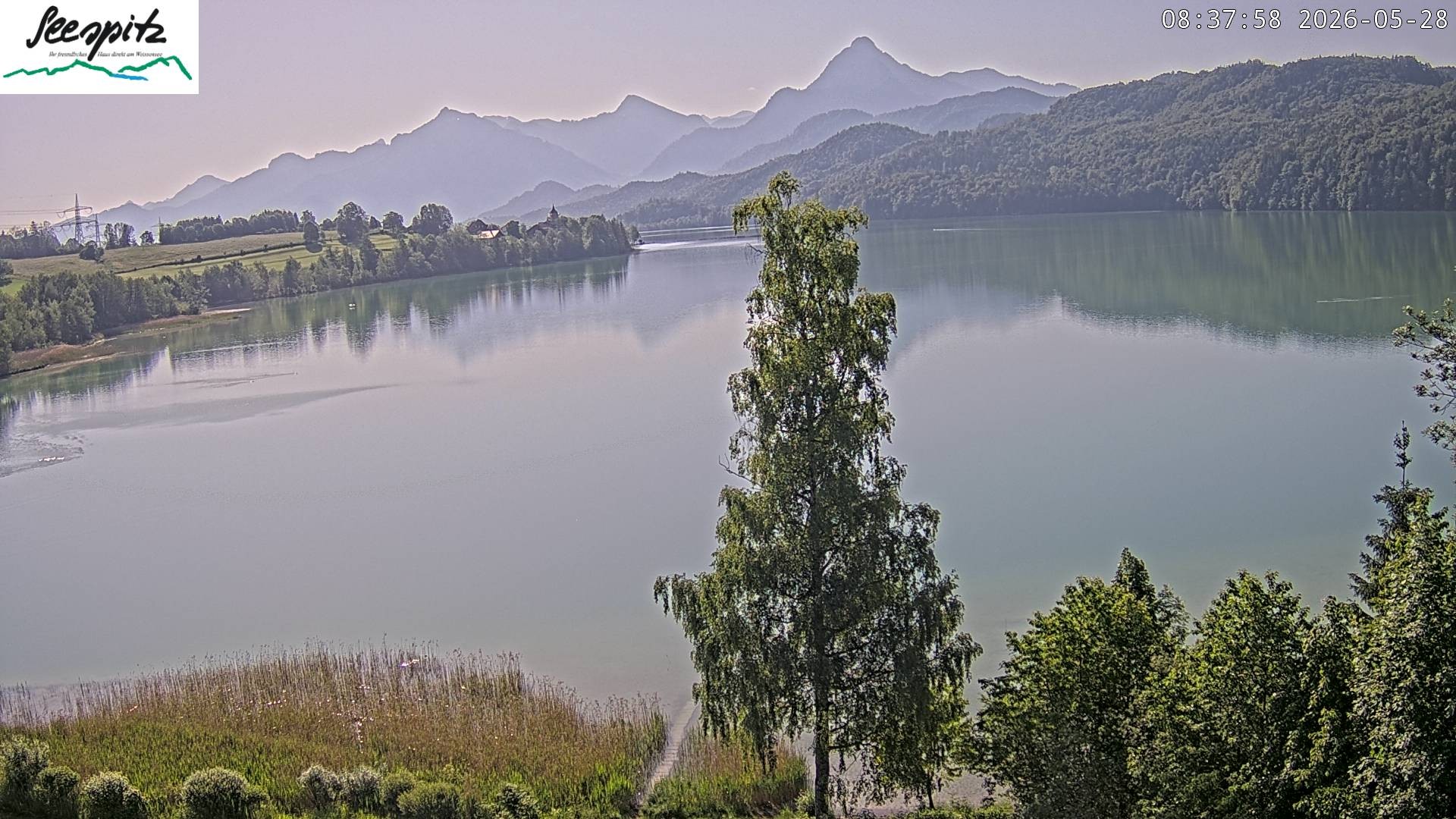 Archived image Webcam Weissensee near Füssen