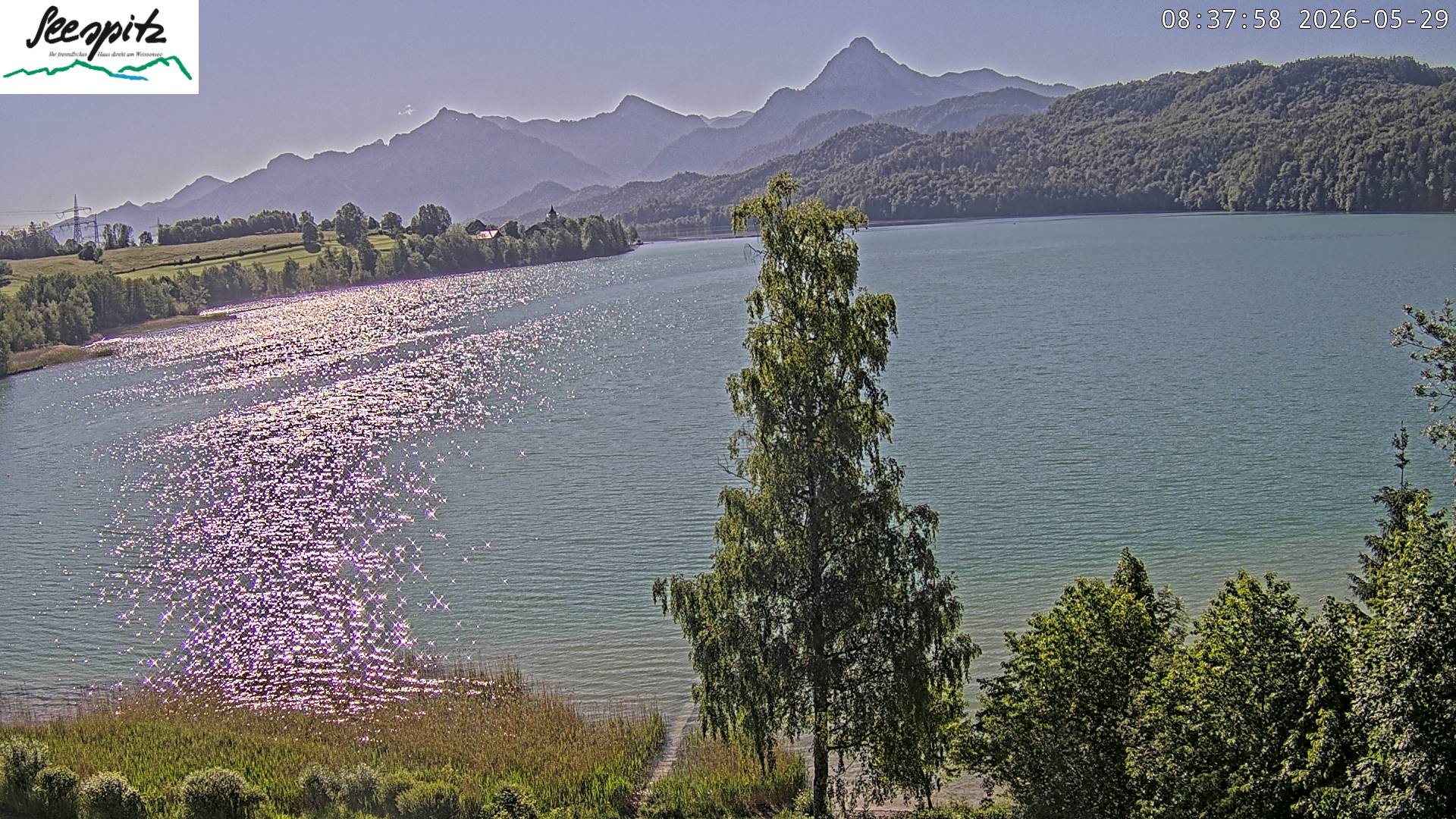 Archiv Foto Webcam Füssen: Blick auf den Weißensee vom Hotel Seespitz