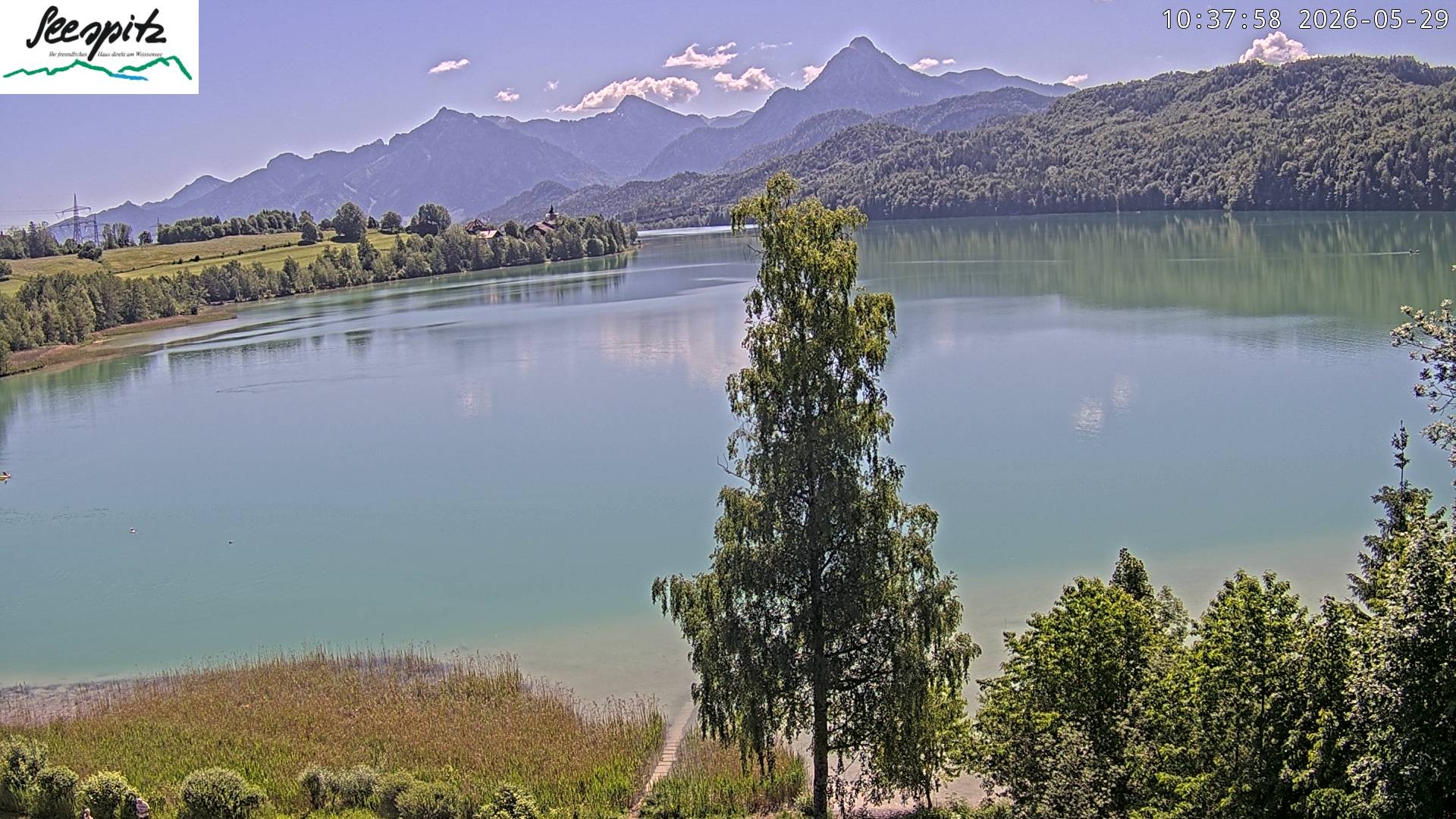 Archiv Foto Webcam Füssen: Blick auf den Weißensee vom Hotel Seespitz
