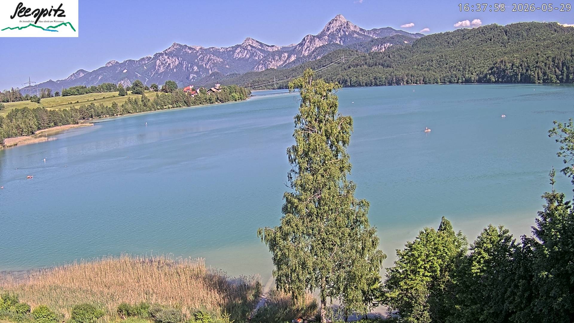 Archiv Foto Webcam Füssen: Blick auf den Weißensee vom Hotel Seespitz