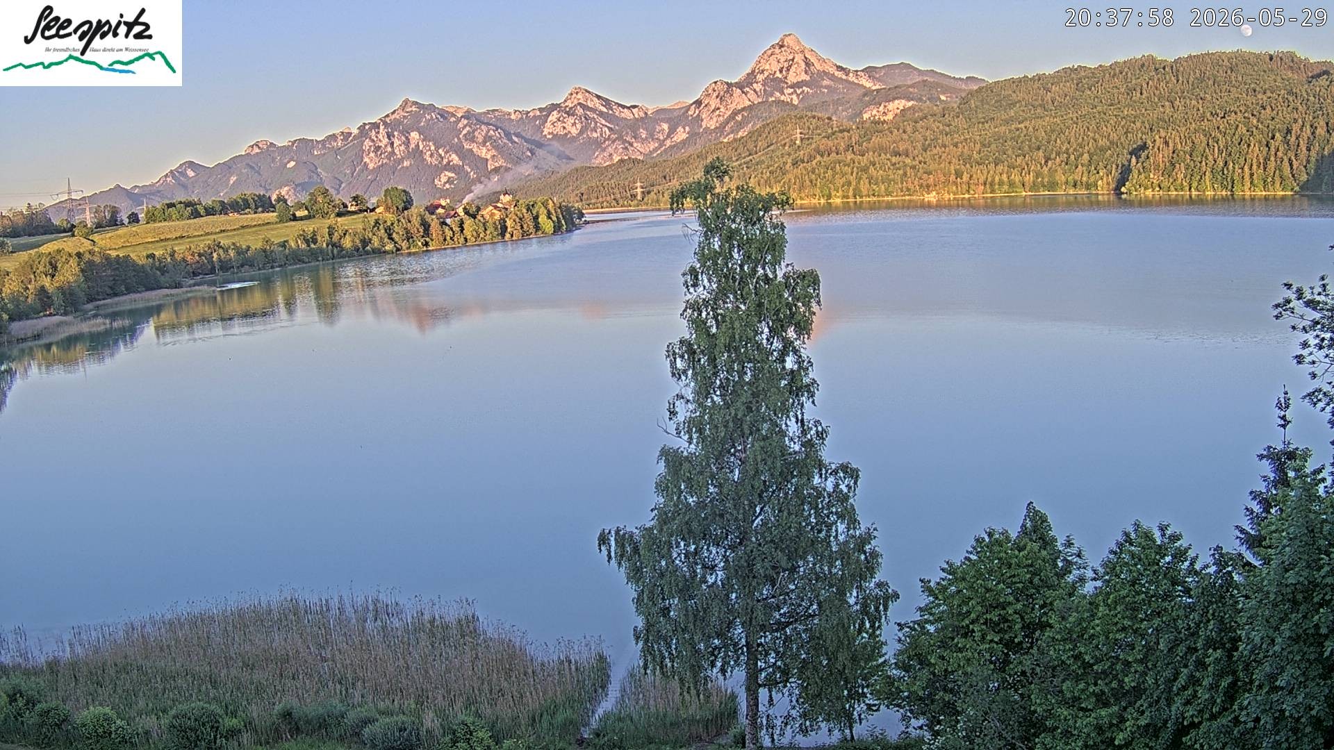 Archiv Foto Webcam Füssen: Blick auf den Weißensee vom Hotel Seespitz